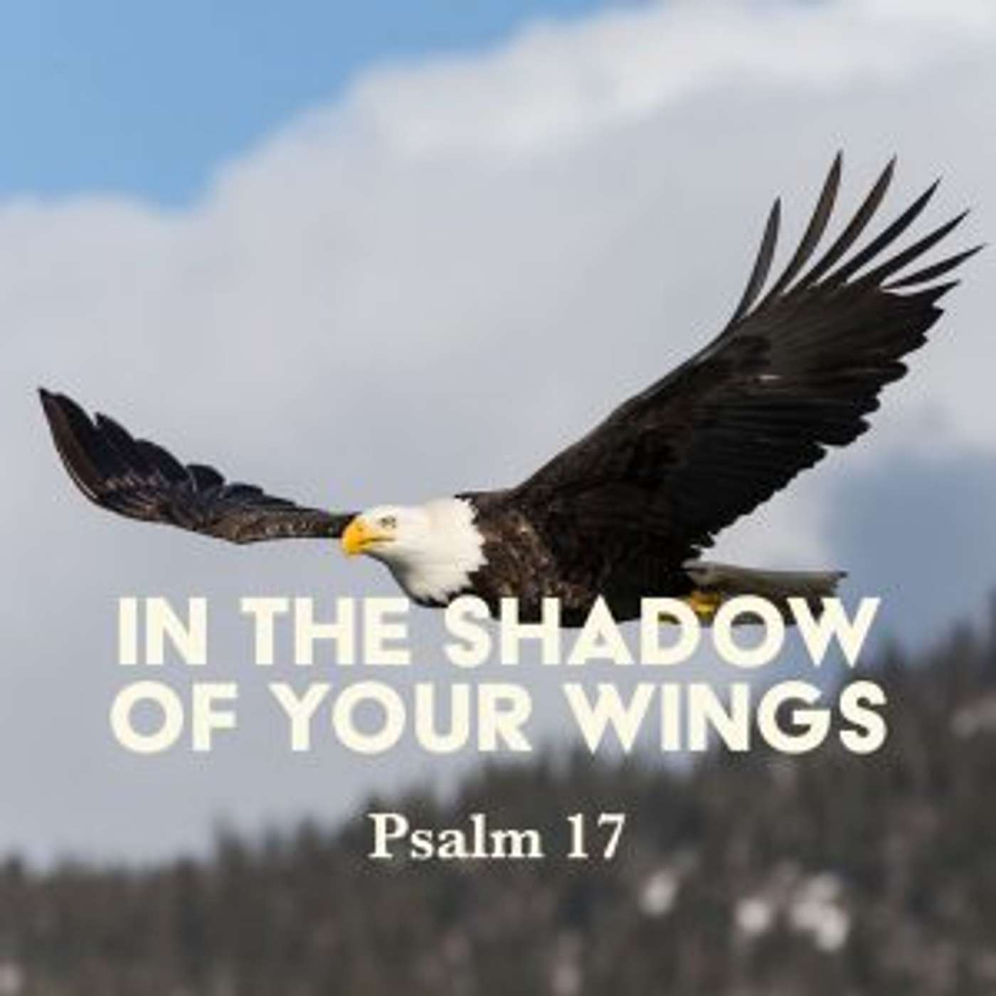 Hide Me Under The Shadow Of Thy Wings Part 4