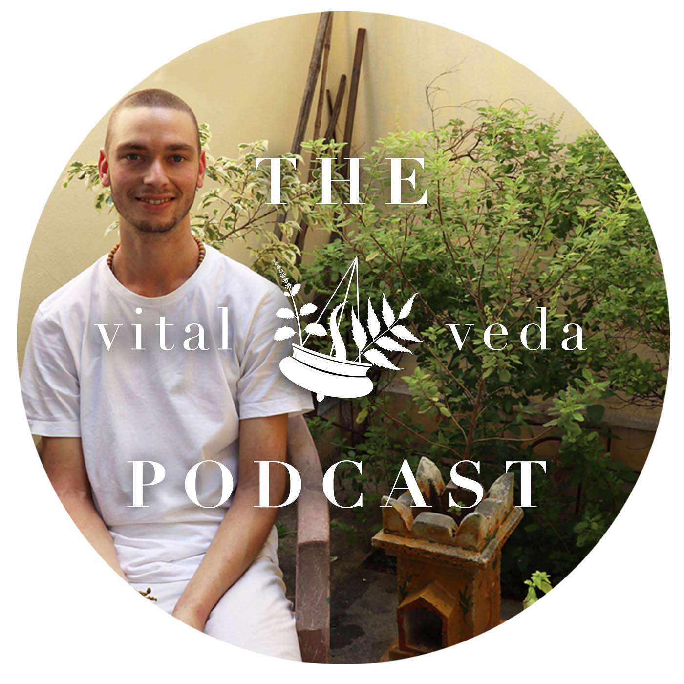 Water: The Basis Of Life, Therapeutic Bathing, Cold Water Immersion & Extreme Wellness | Professor Marc Cohen #014 episode artwork