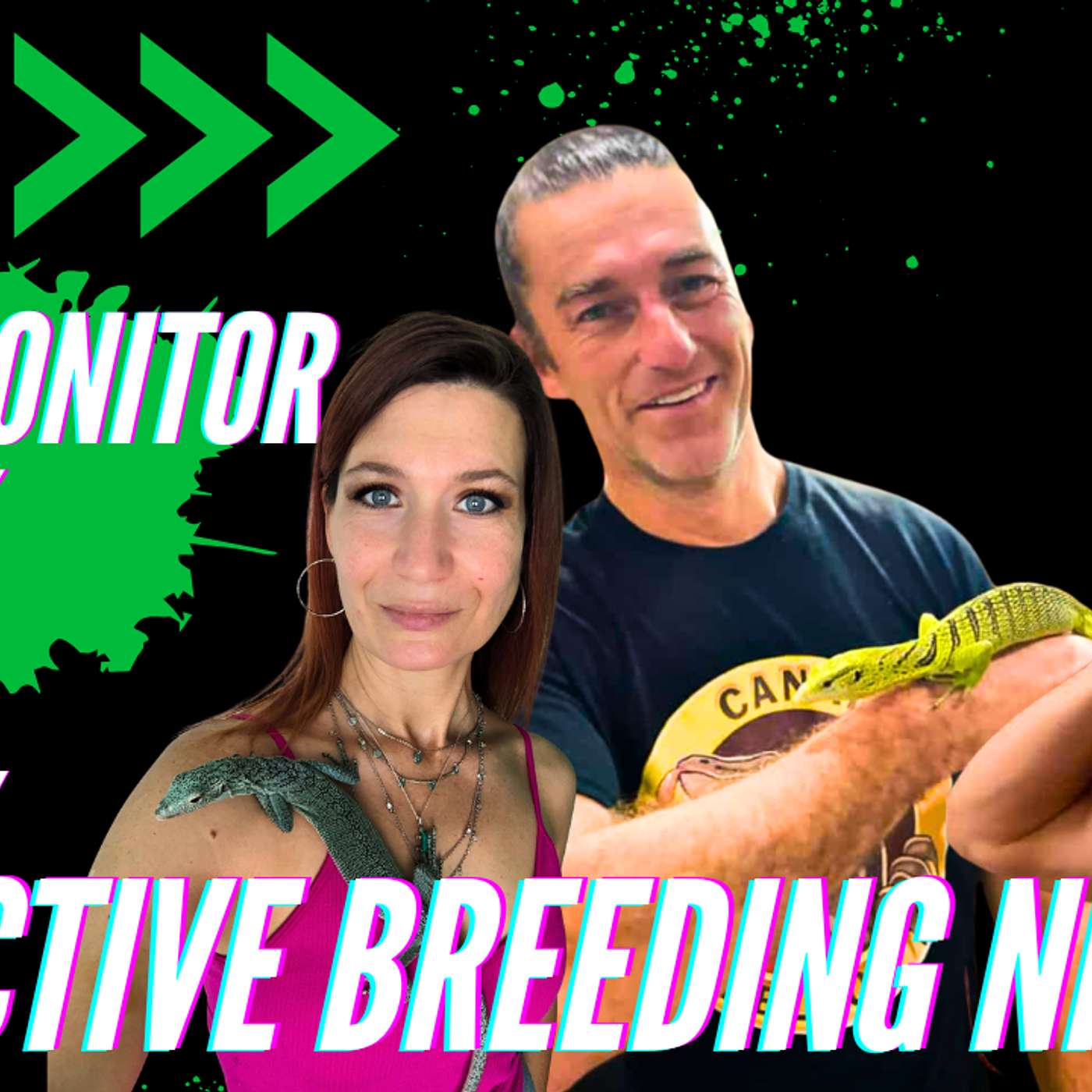 Selective Breeding Niles With Robert Fox | All Monitor Talk Ep.58 (Live)