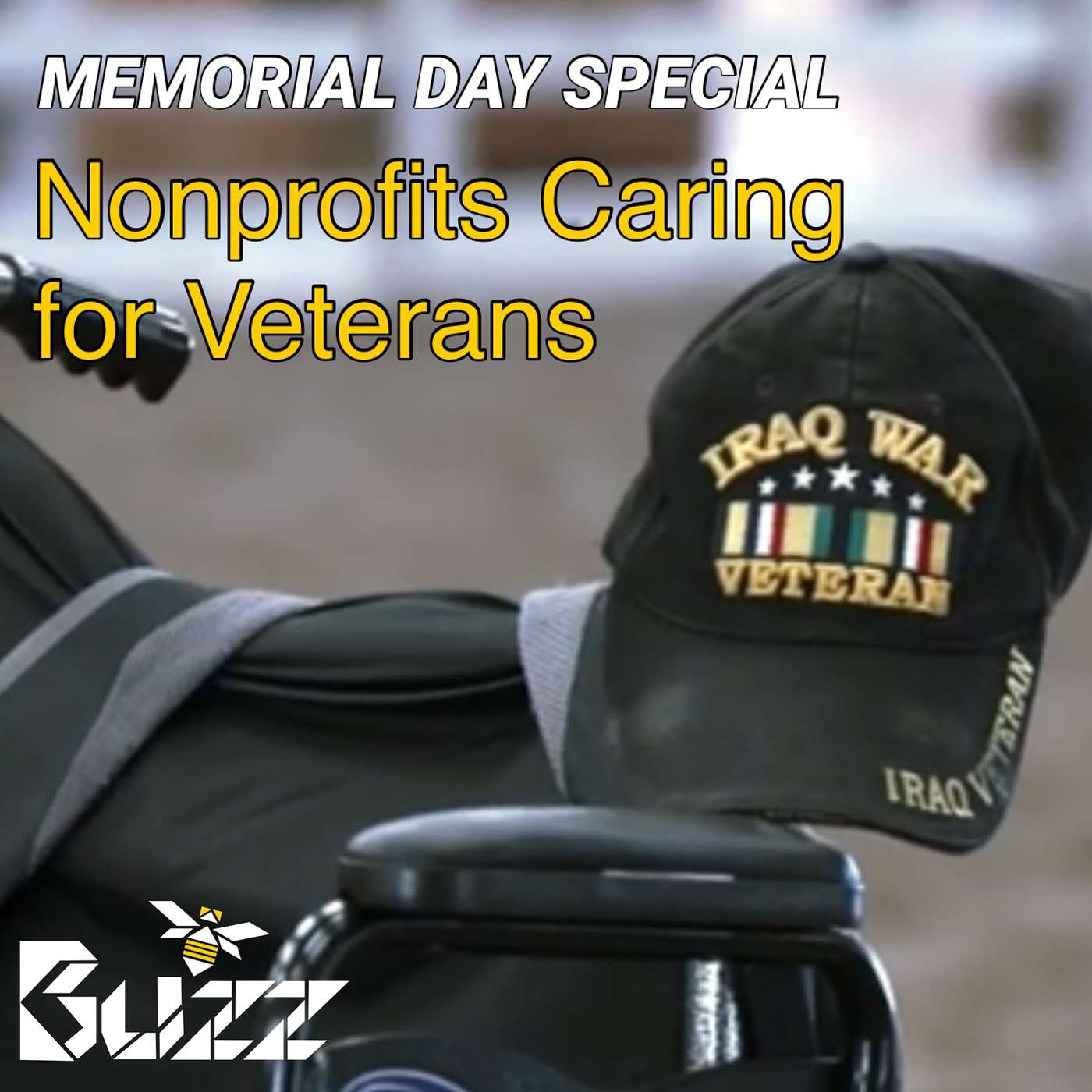 Memorial Day Special: Nonprofits Caring for Veterans