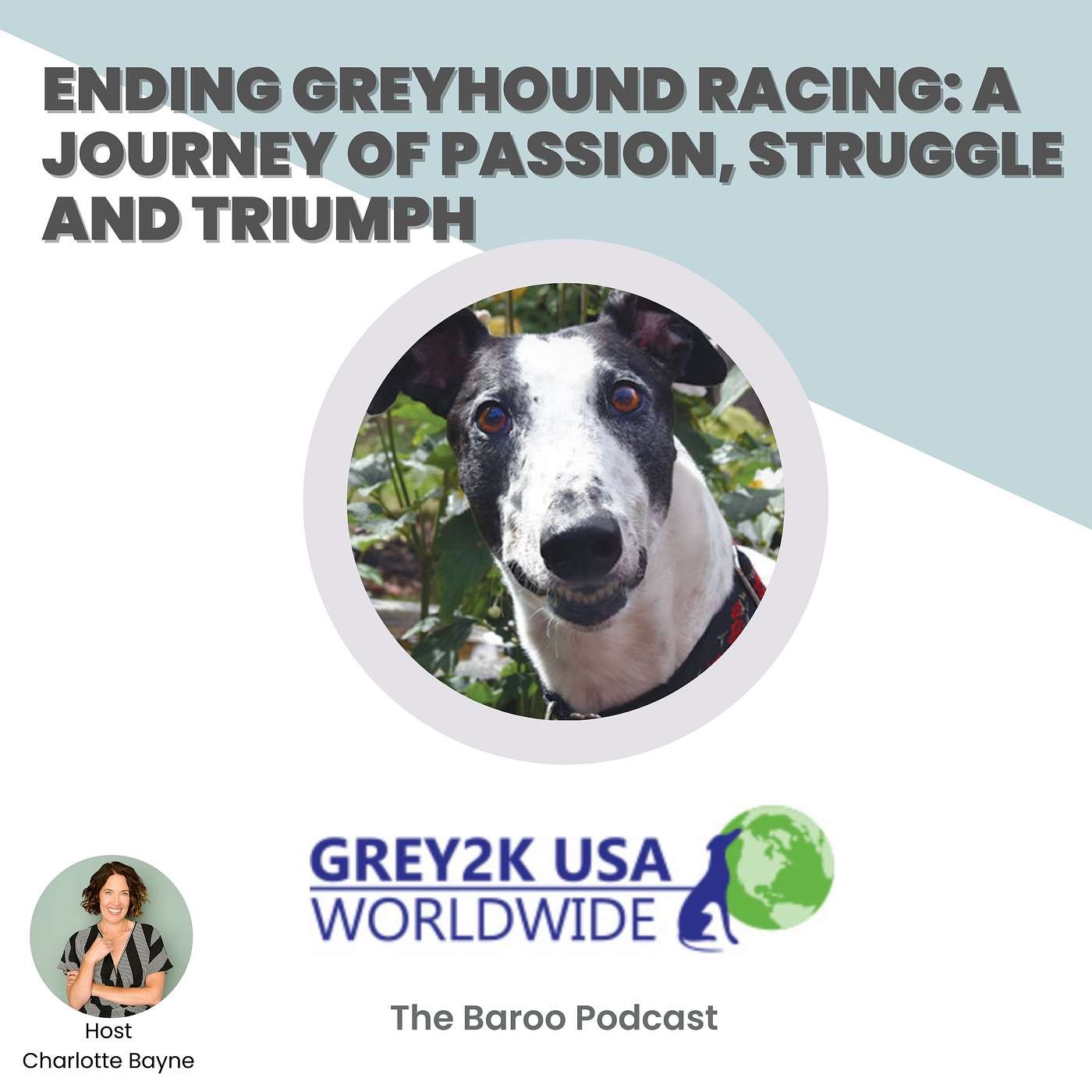 The Baroo: A Podcast for Dogs and Their People