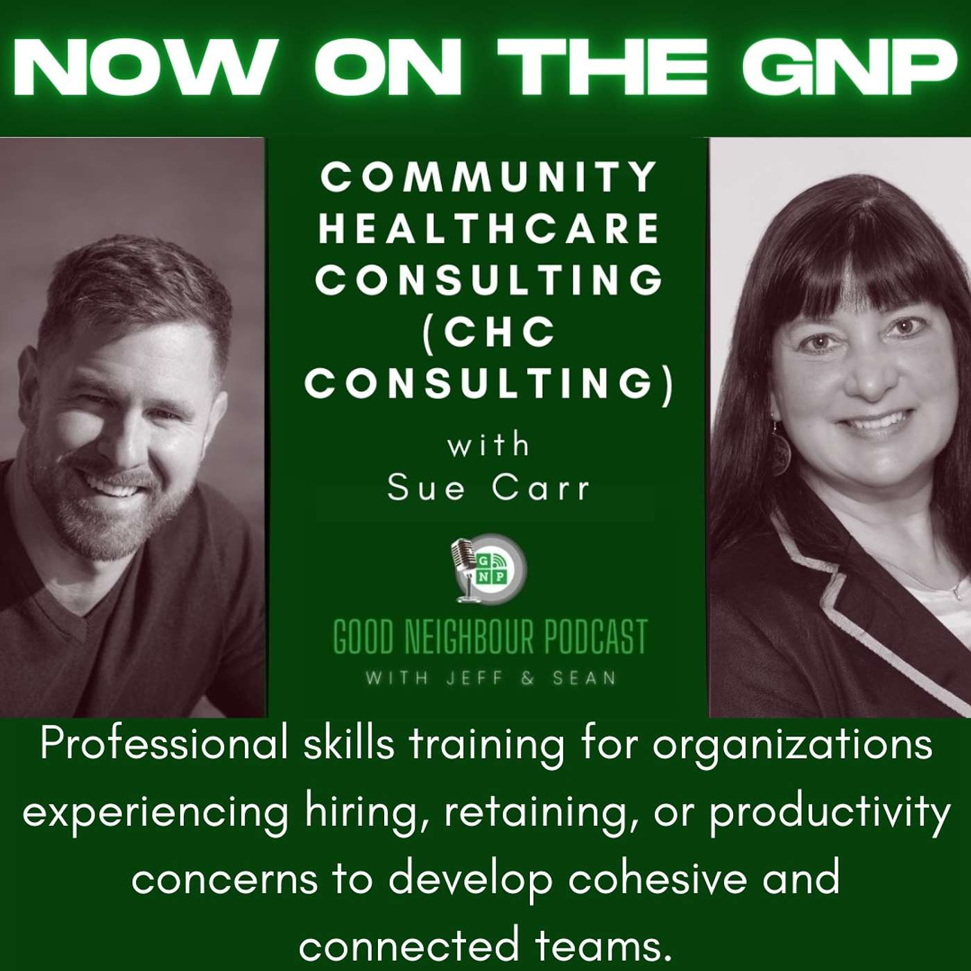 Sue Carr of Community Healthcare Consulting episode artwork