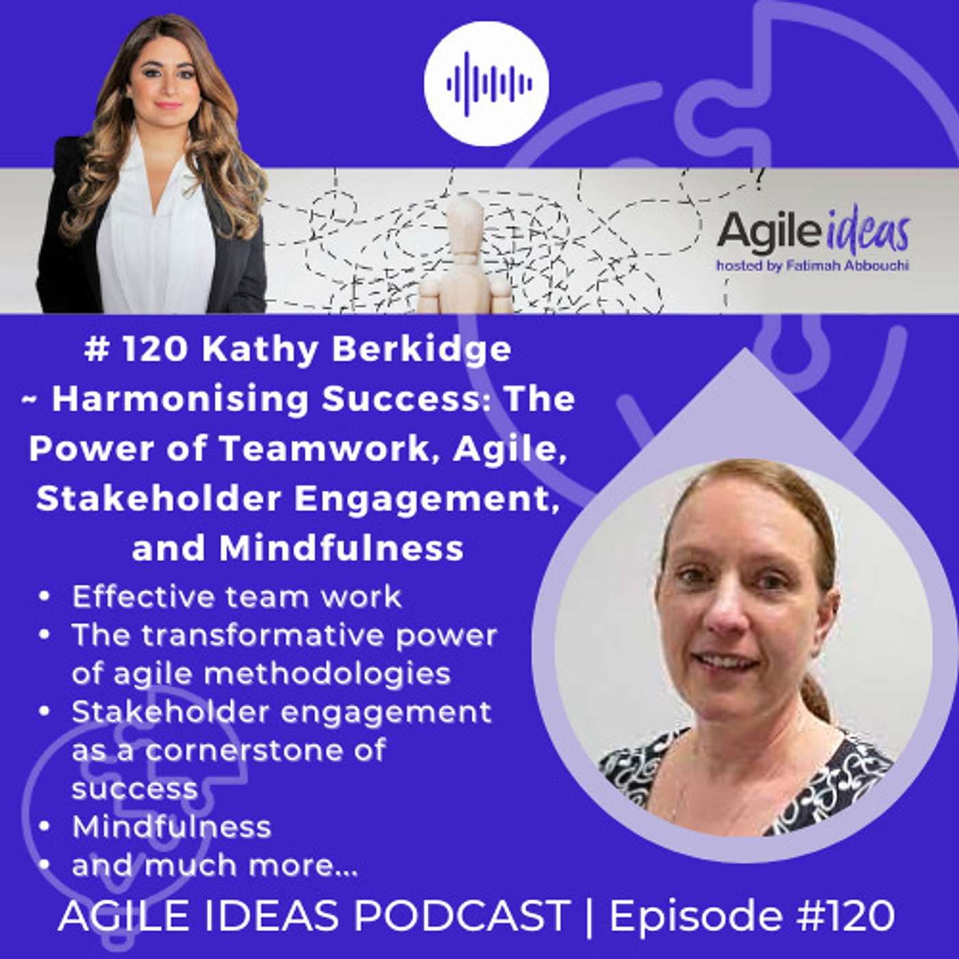 Agile Ideas