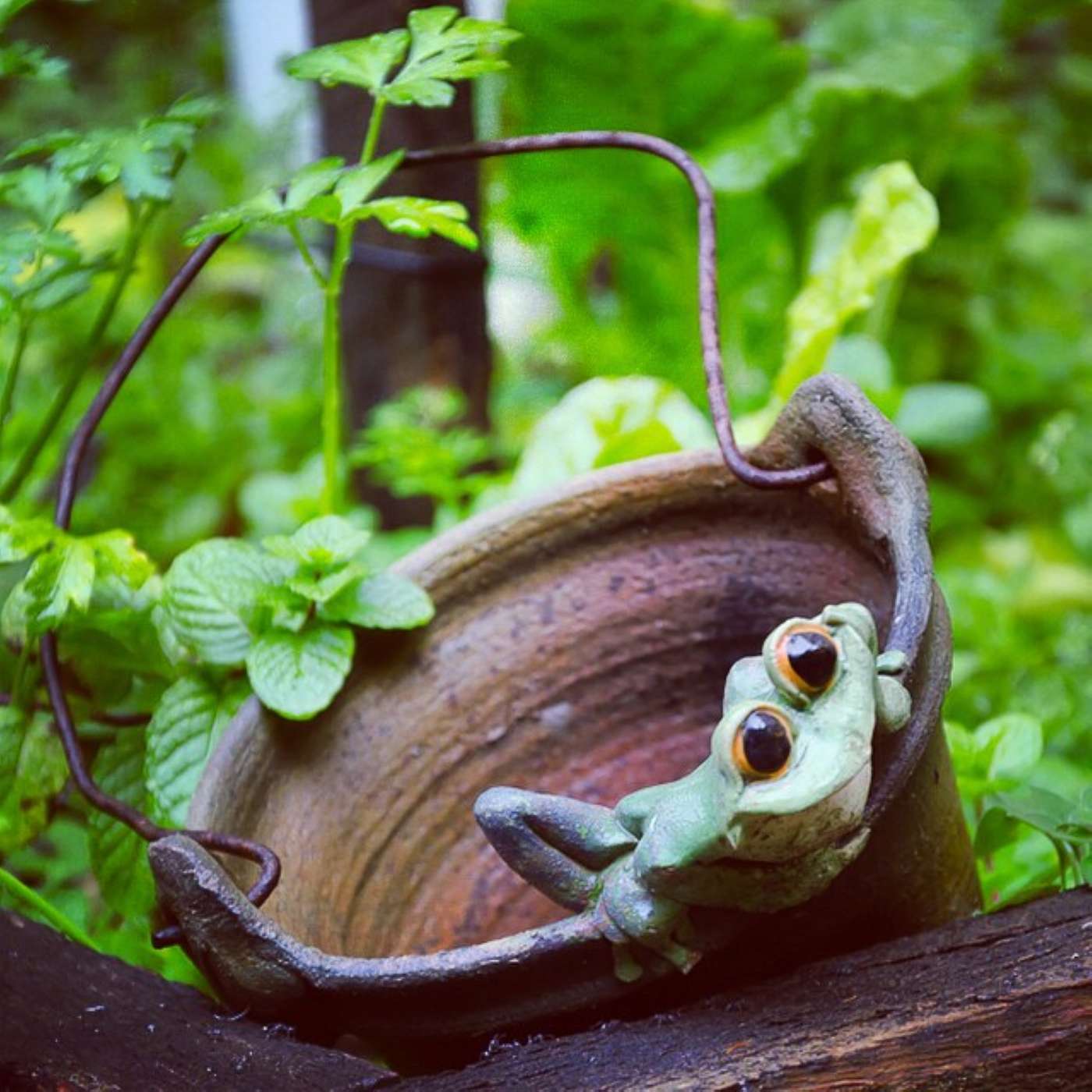 Positive Money Karma: Susan's Past Life Regression