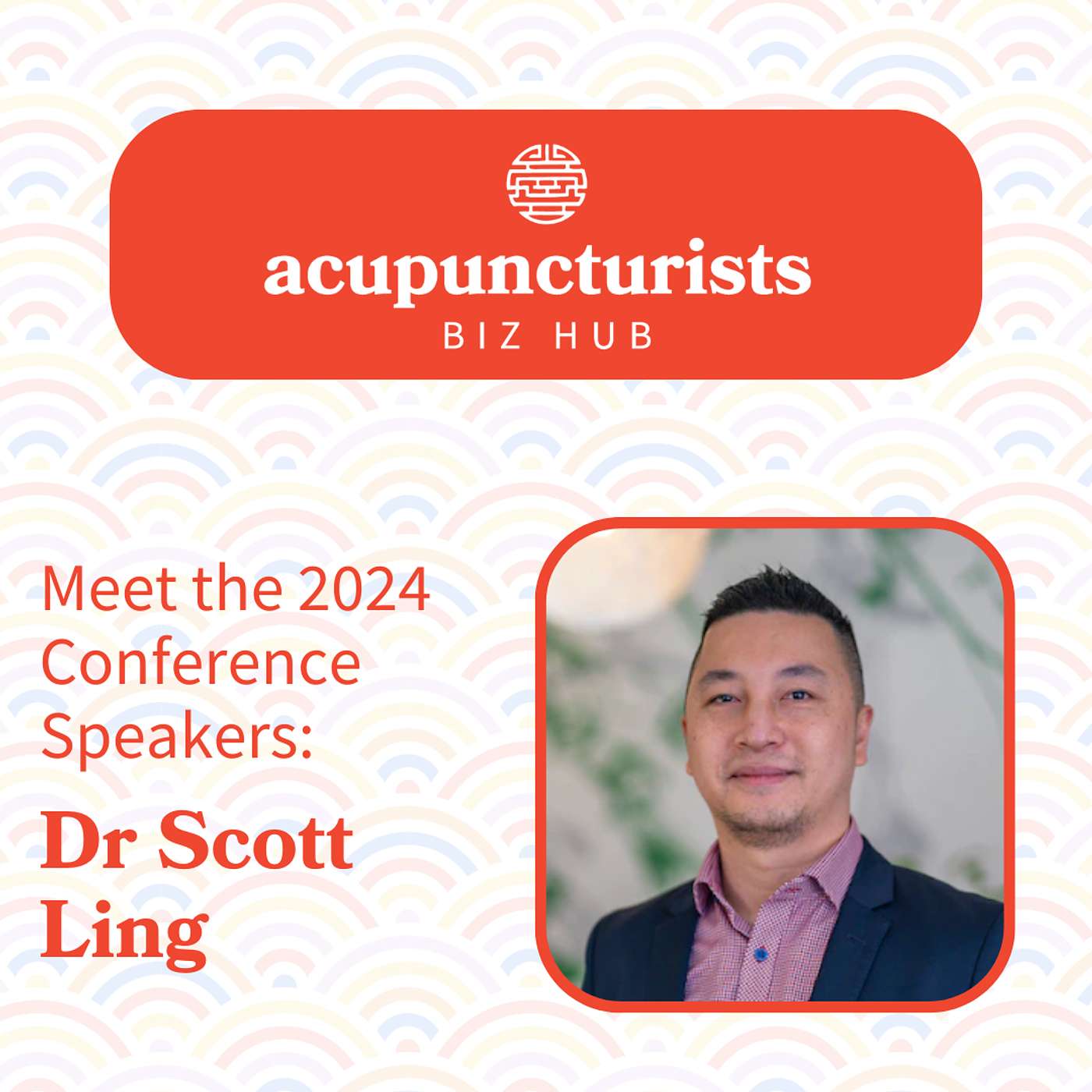 The Acupuncturists Biz Hub