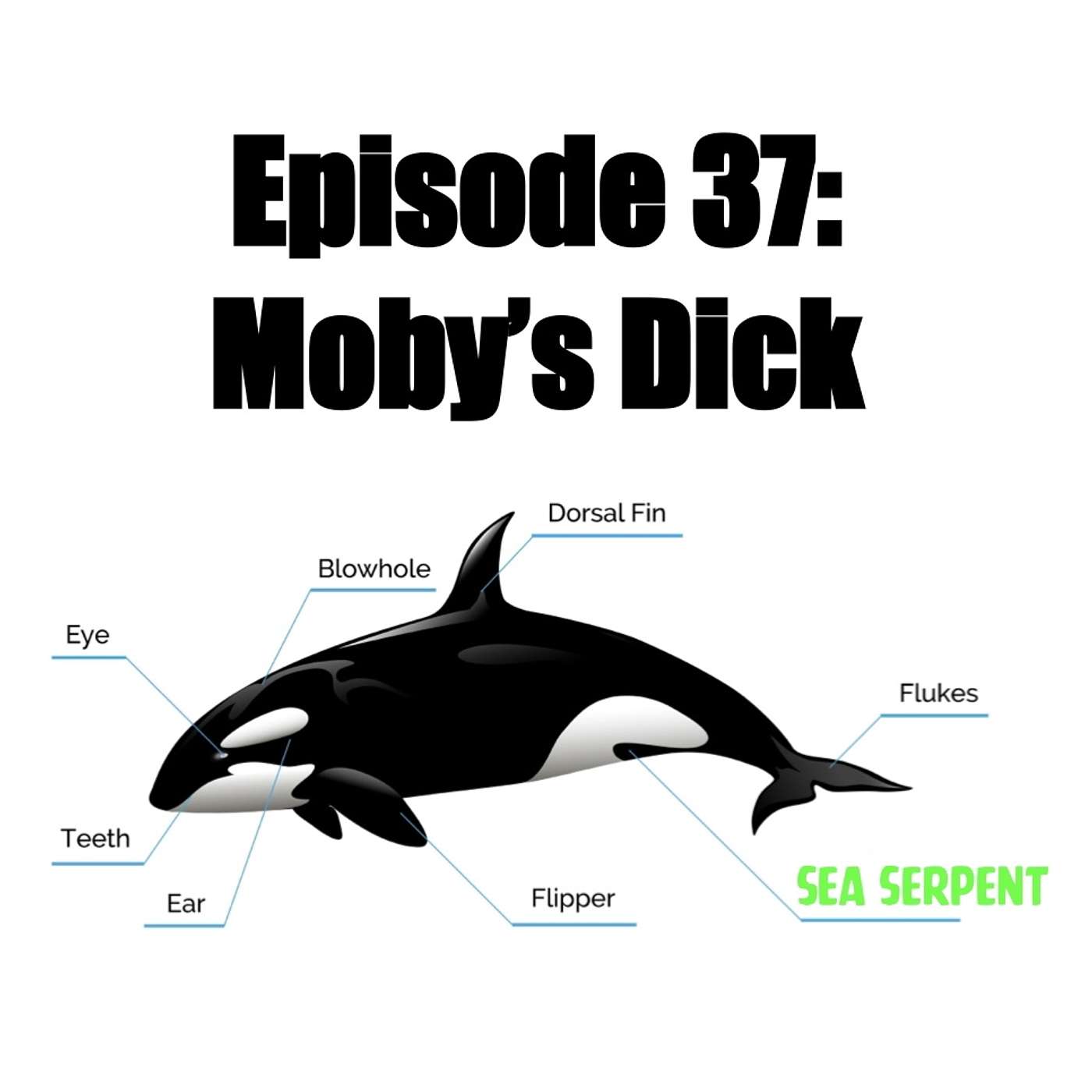 cover of episode Moby’s Dick