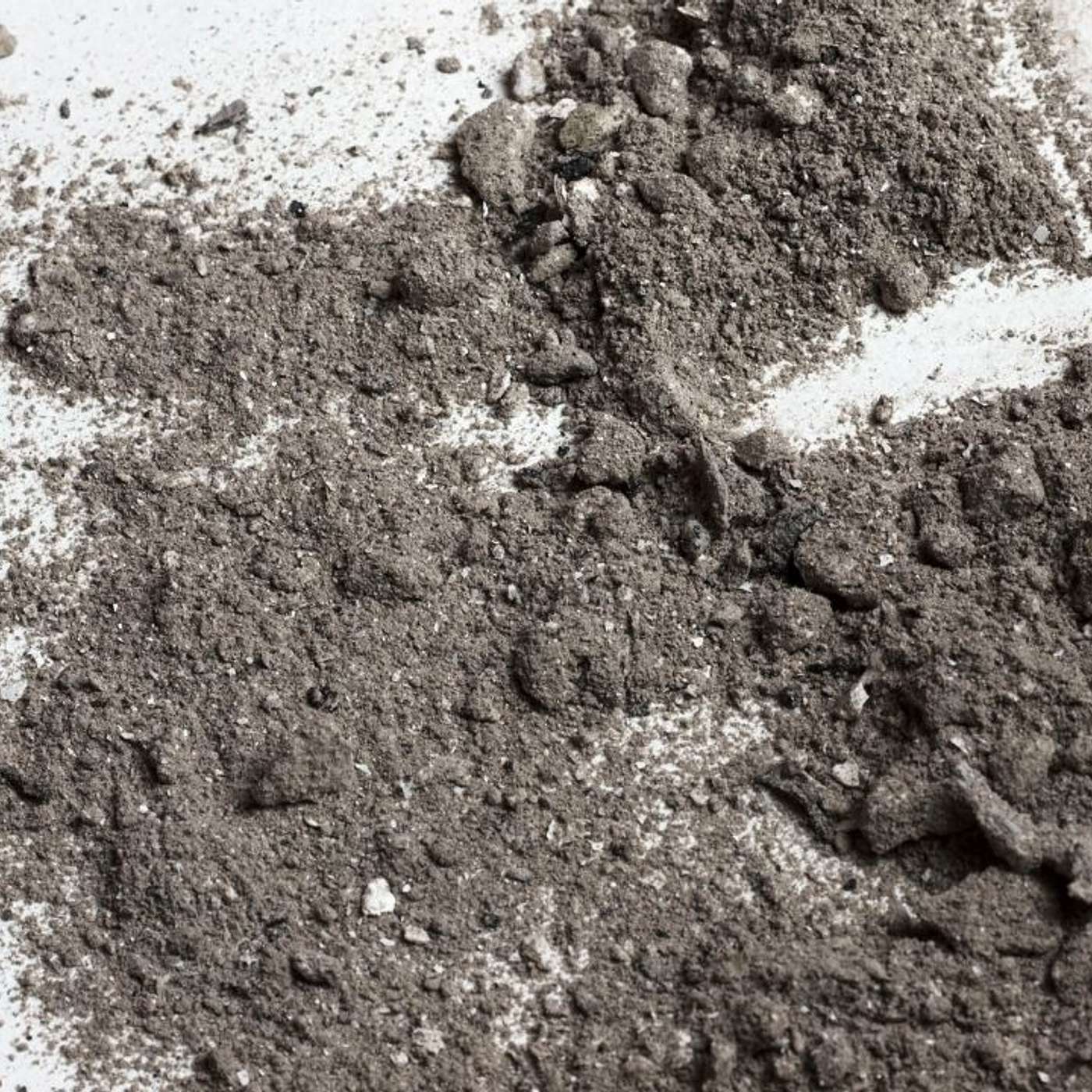 3.2.22 - Ashes, Ashes, We All Are Loved (Ash Wednesday) episode artwork
