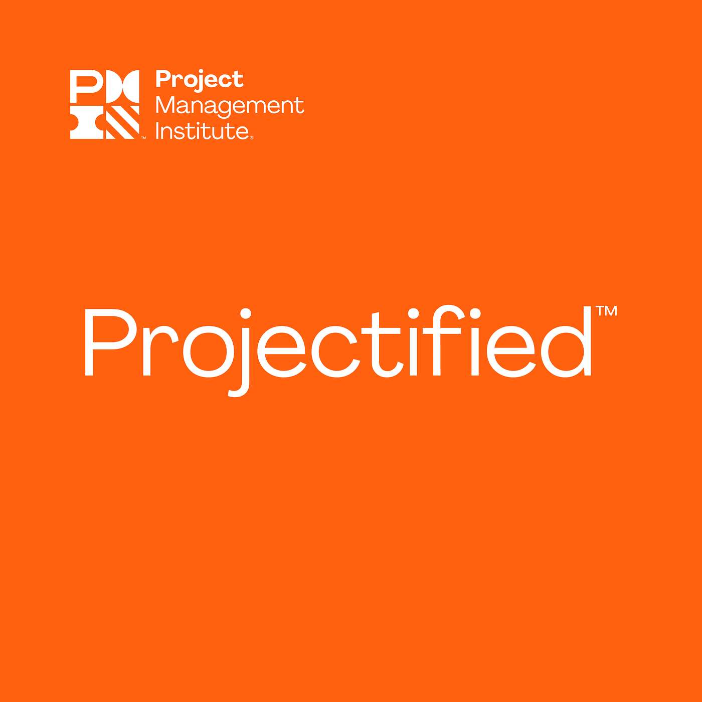 Transformation—Project Management Evolves