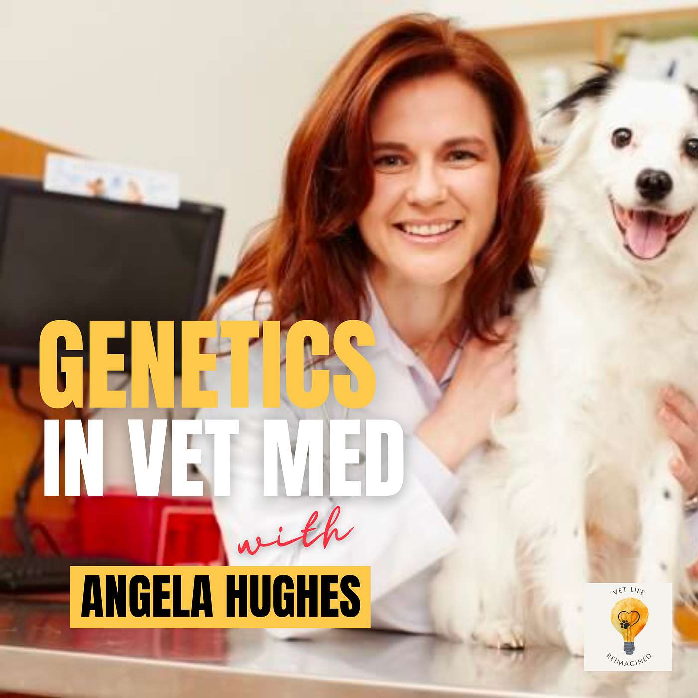 Vet Life Reimagined