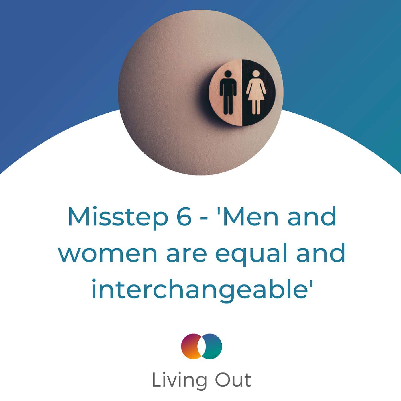 Misstep 6 - 'Men and women are equal and interchangeable' (The Plausibility Problem #6) episode artwork