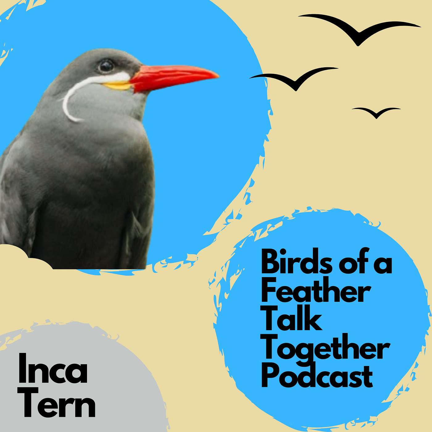 Birds of a Feather Talk Together