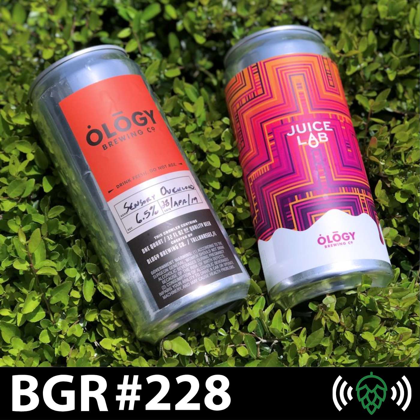 E228: The Art and Science of Beer with Ology Brewing