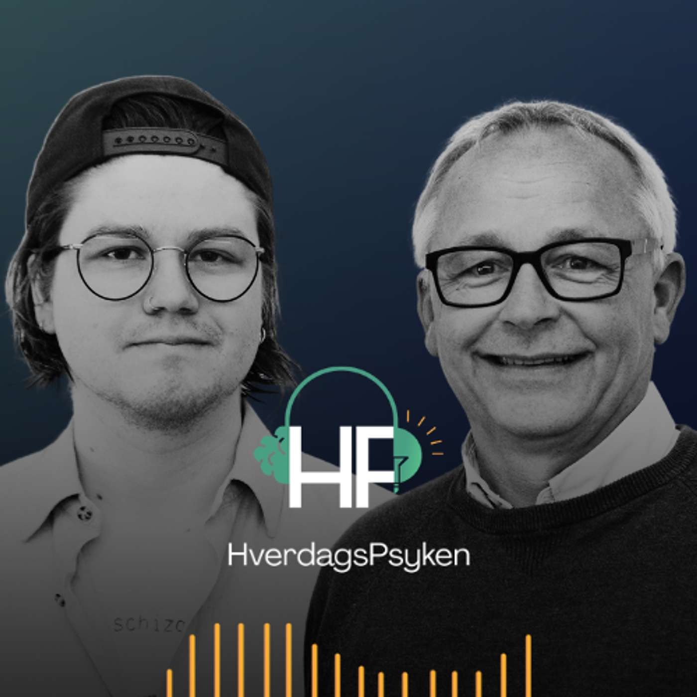 Schizofreni - hva er det? m/ Jan Ivar Røsseberg og Erlend Gade episode artwork