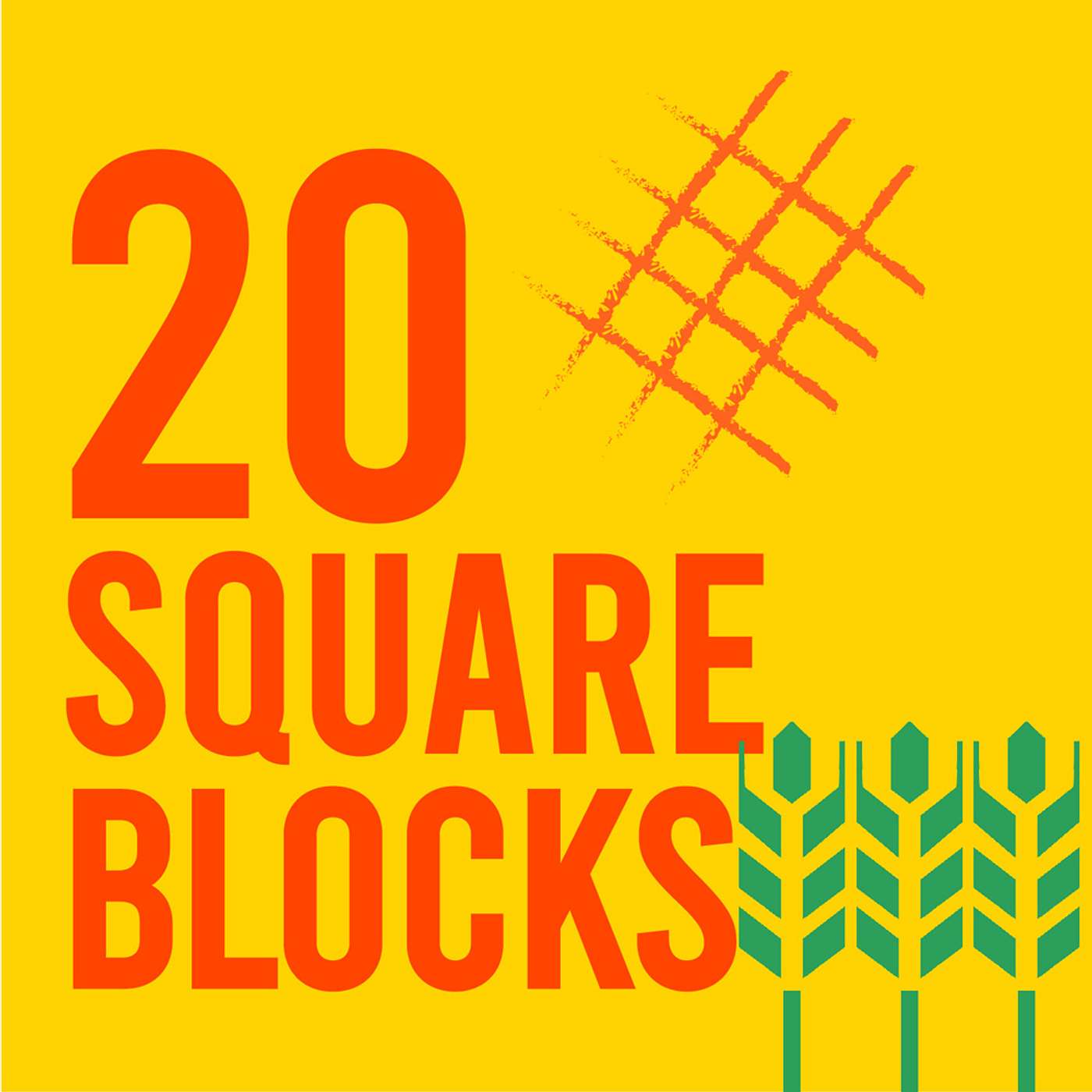 20 Square Blocks