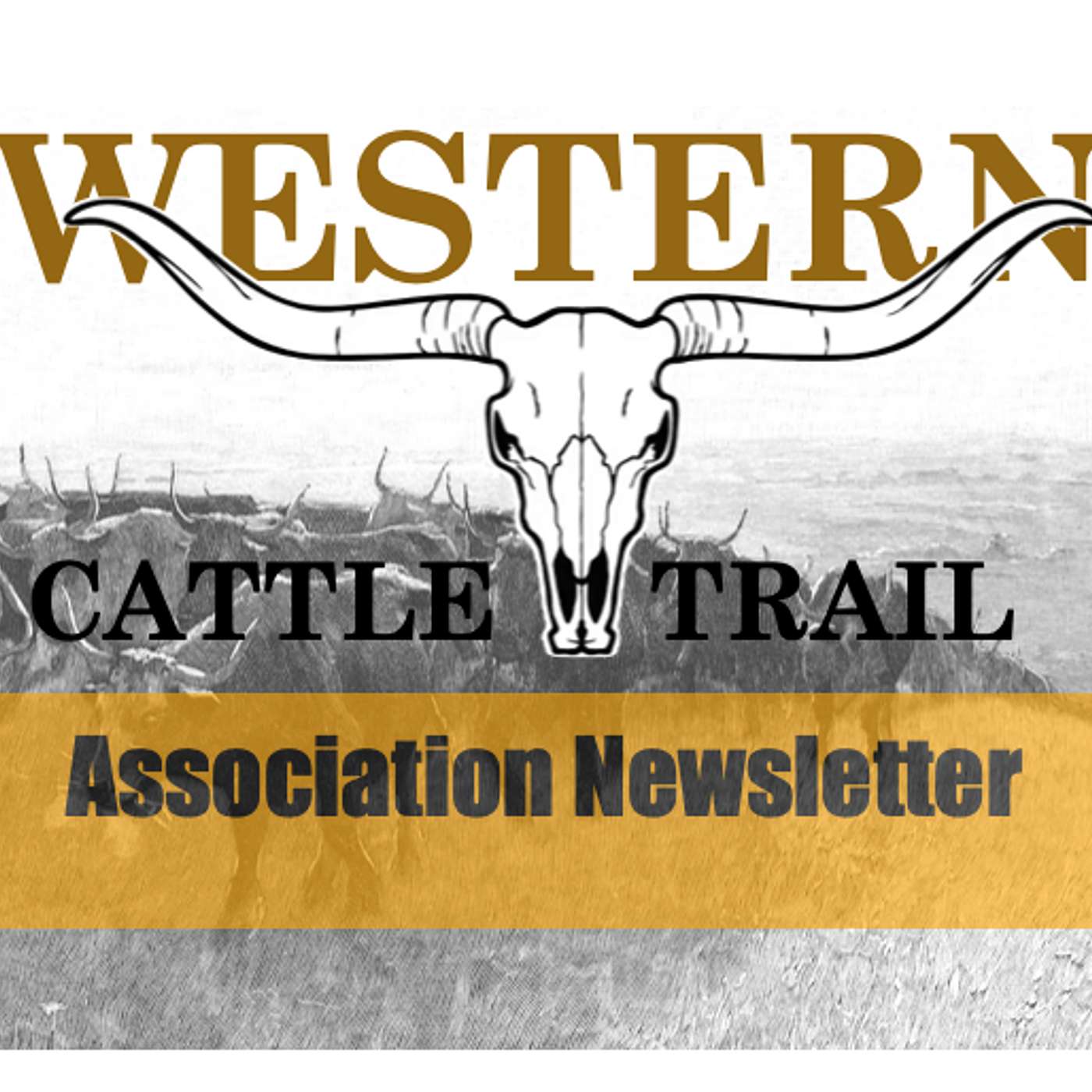 Western Cattle Trail Newsletter Promotional