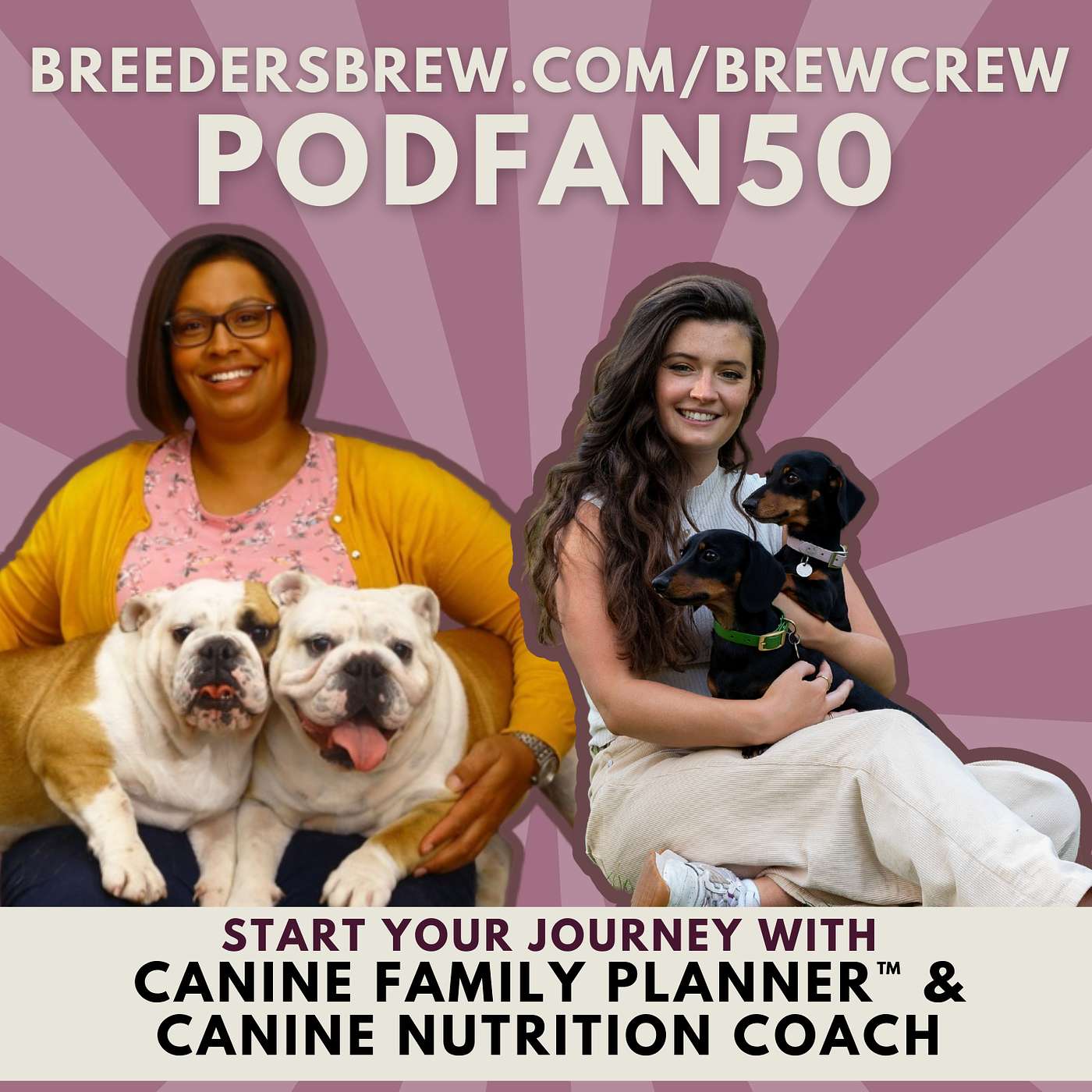 What Every ABA Winner Has in Common (and Why It Matters)