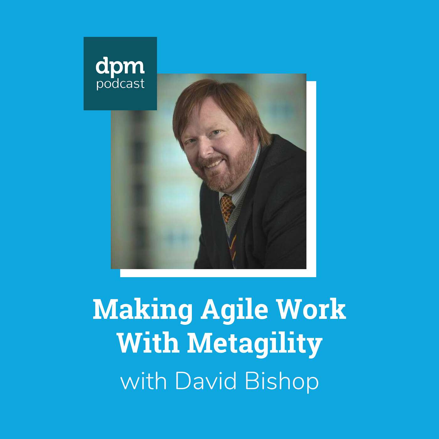 The Digital Project Manager