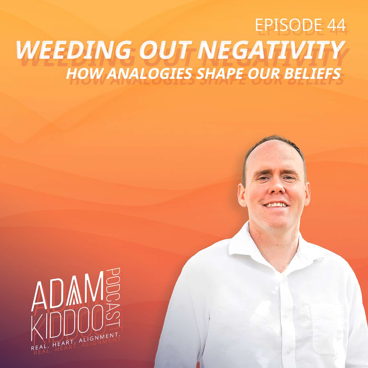 Weeding Out Negativity: How Analogies Shape Our Beliefs