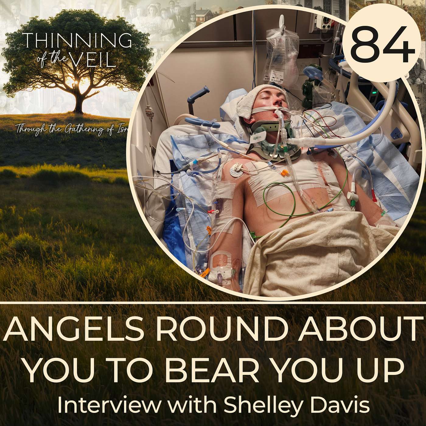 ANGELS ROUND ABOUT YOU TO BEAR YOU UP: Interview with Shelley Davis