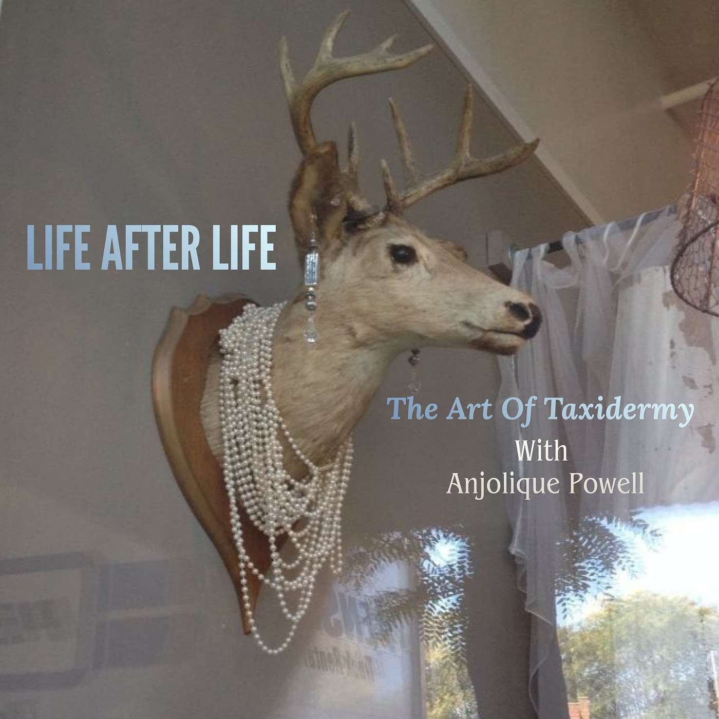 Life After Life: The Art of Taxidermy episode artwork