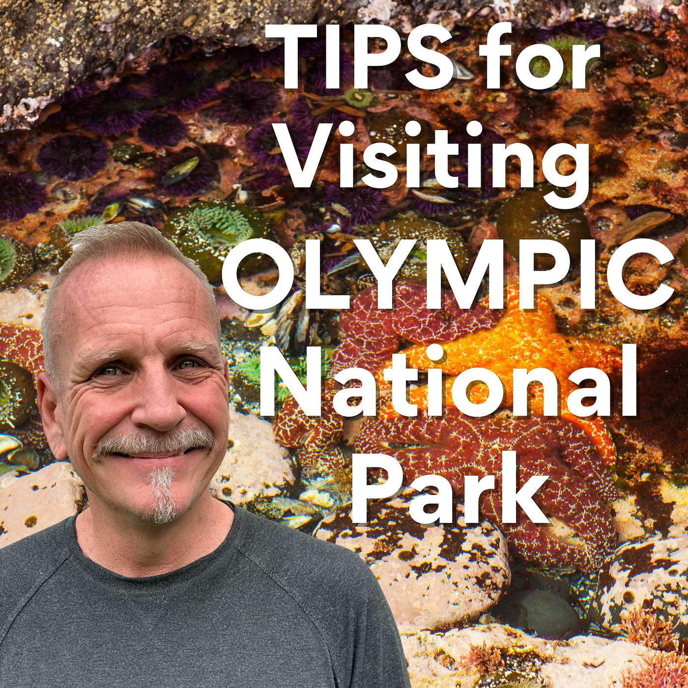 Tips for Visiting Olympic National Park: 12 Things To Know Before You Go