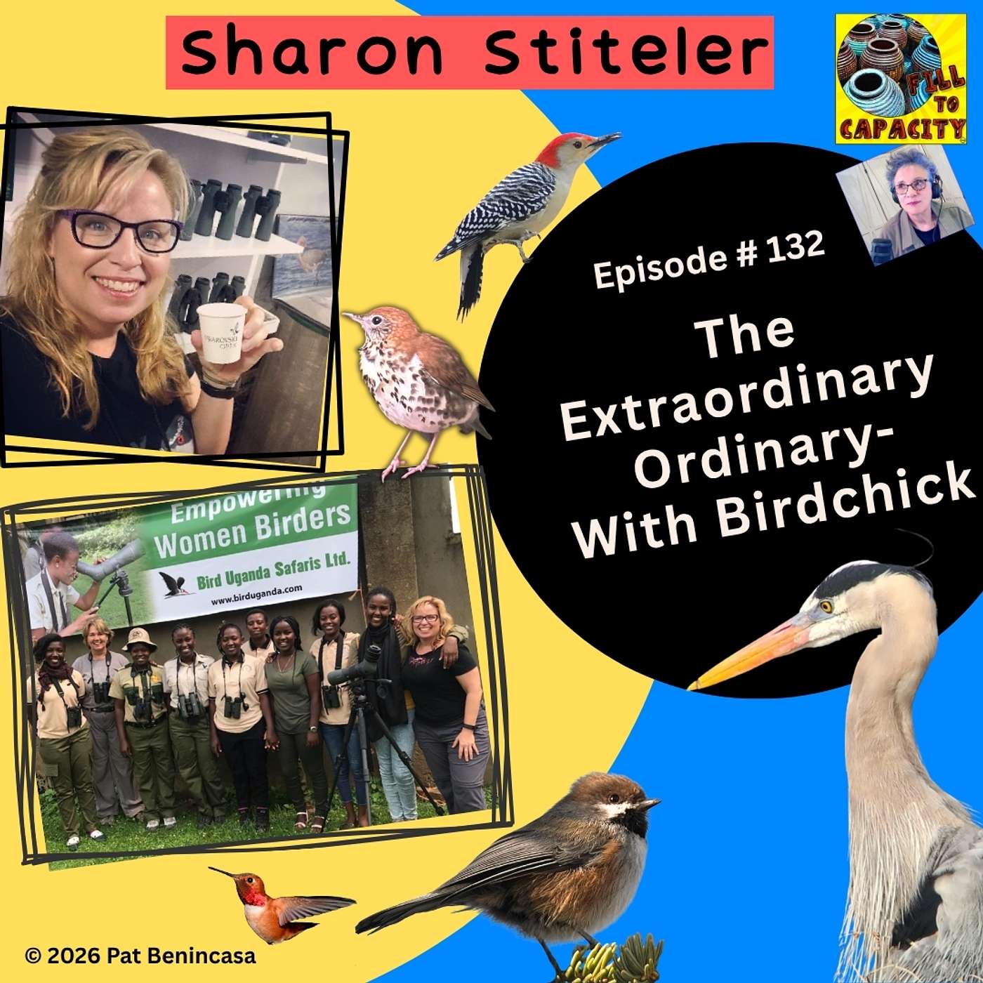 The Extraordinary Ordinary — with Birdchick