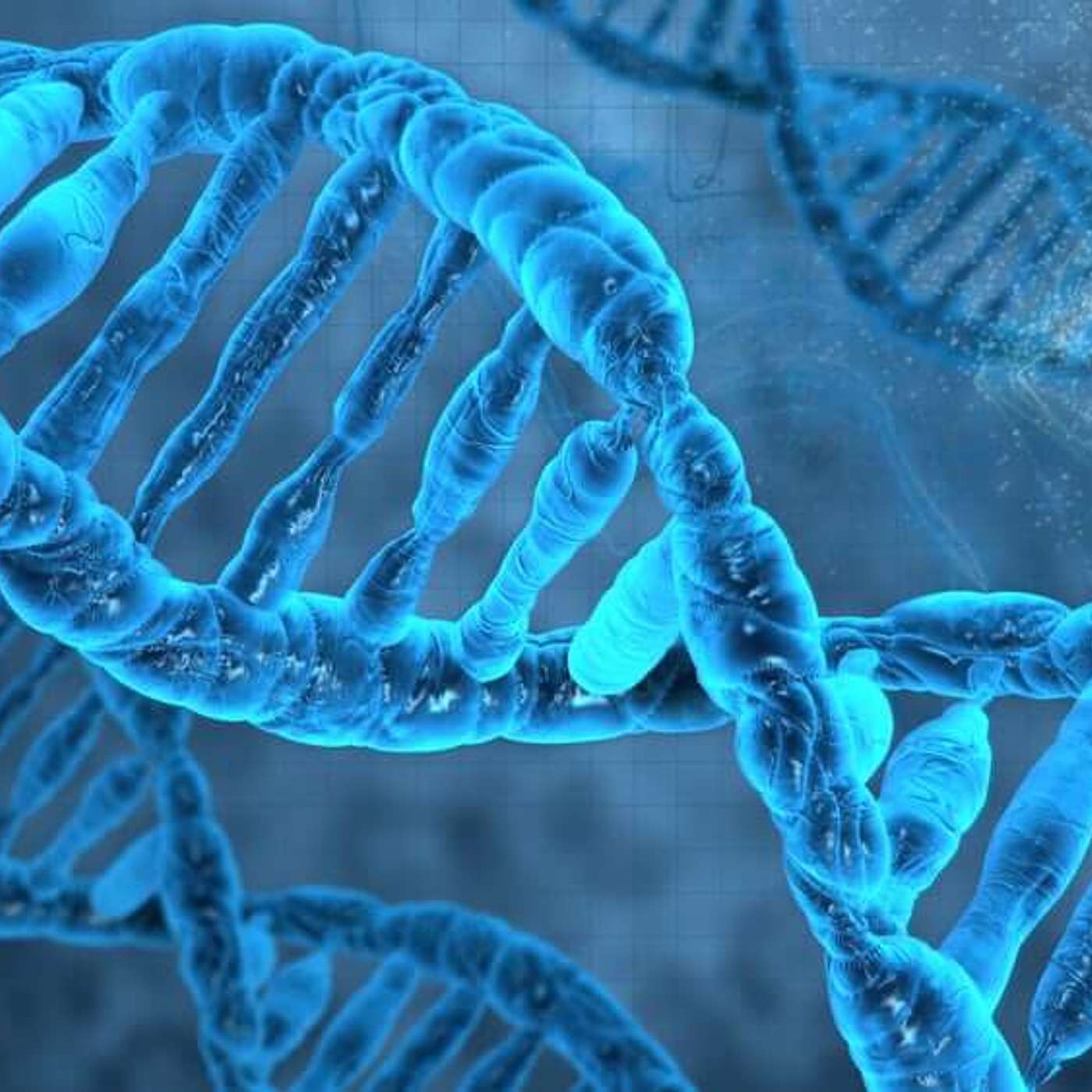 46. DNA: replication, cancer, and aging.