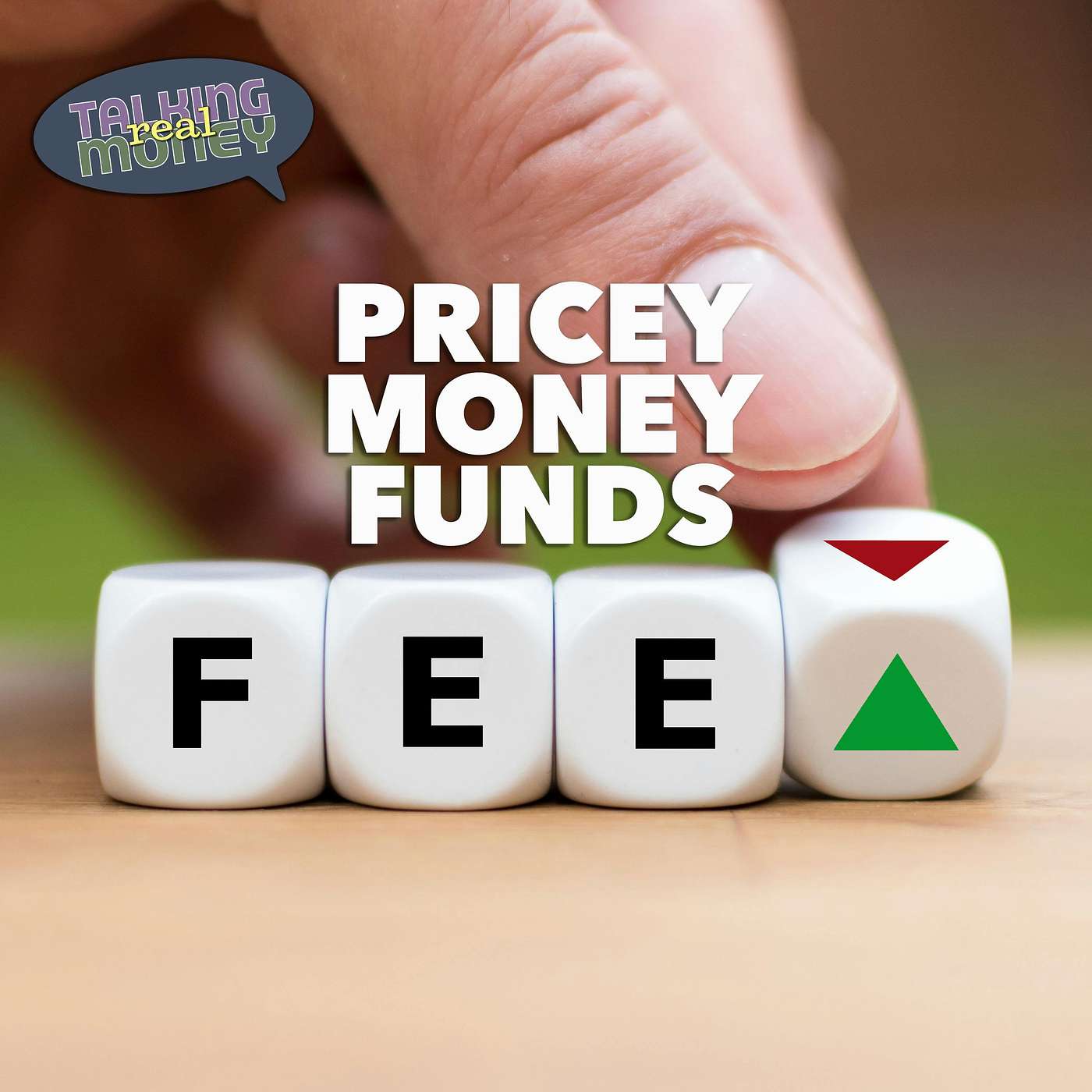 Money Market Fund Fees