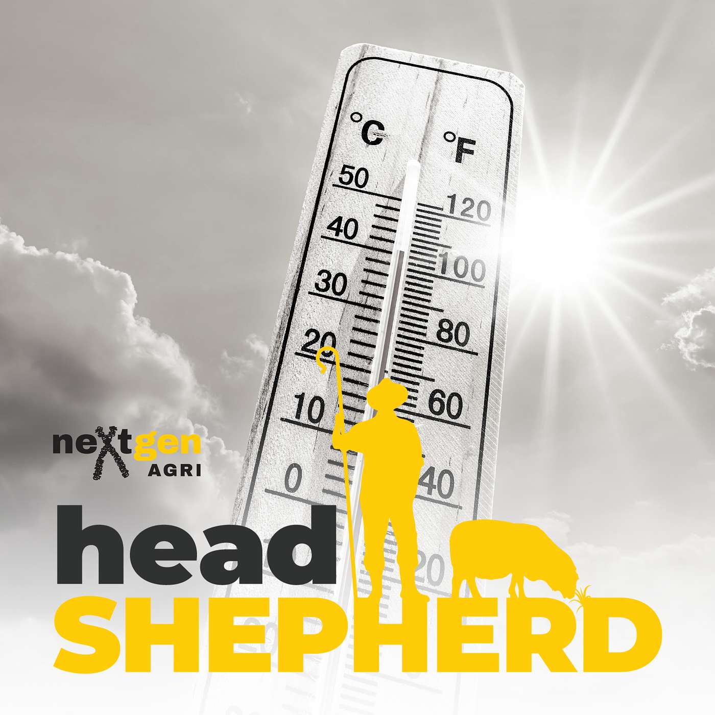 Heat Stress: Impacts on Sheep Reproductive Performance with Dr William van Wettere