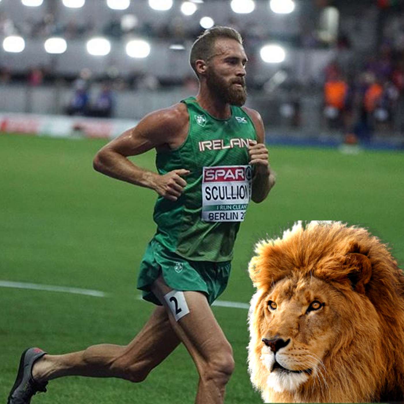 Become an animal