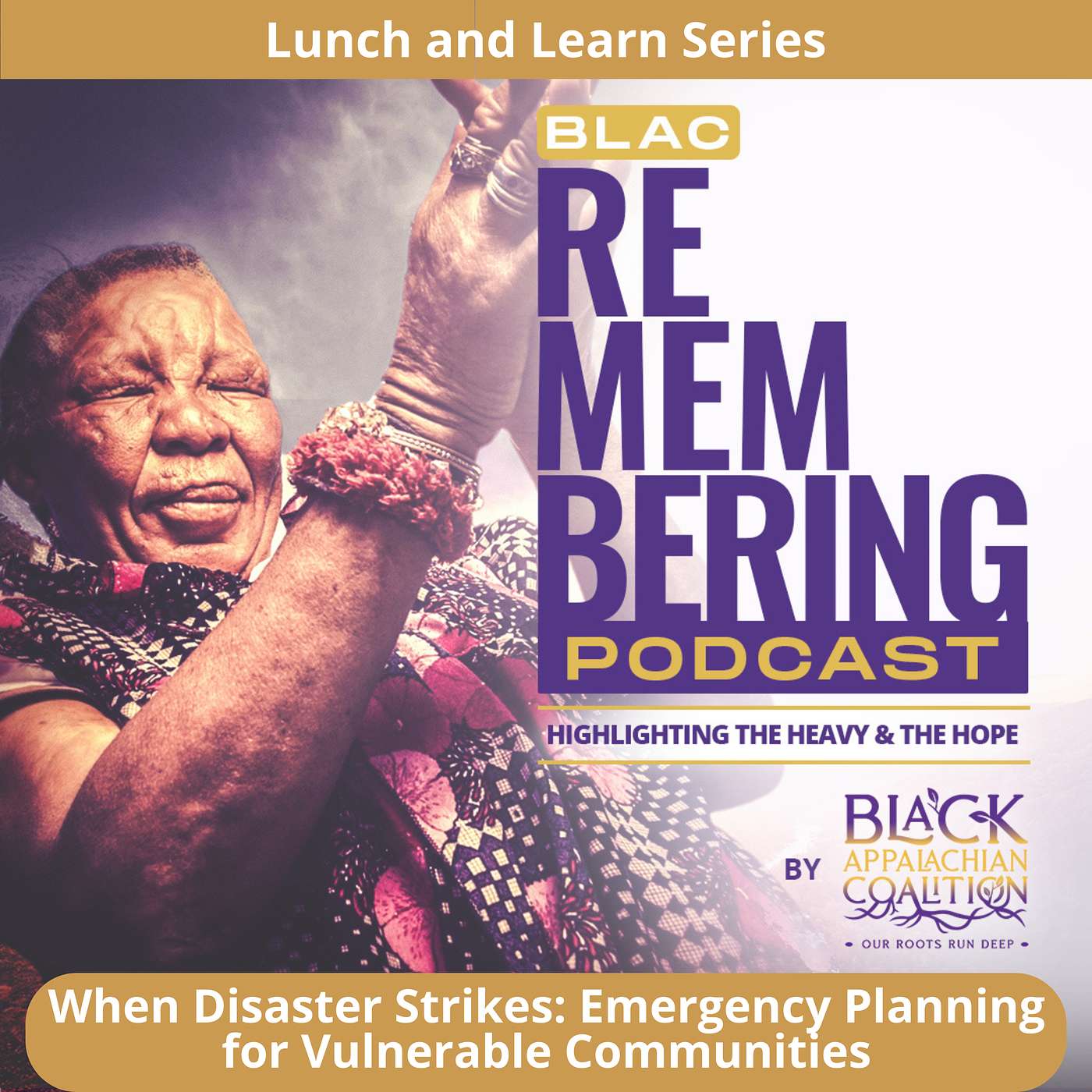 BLAC Lunch and Learn Series: When Disaster Strikes - Protecting Vulnerable Communities