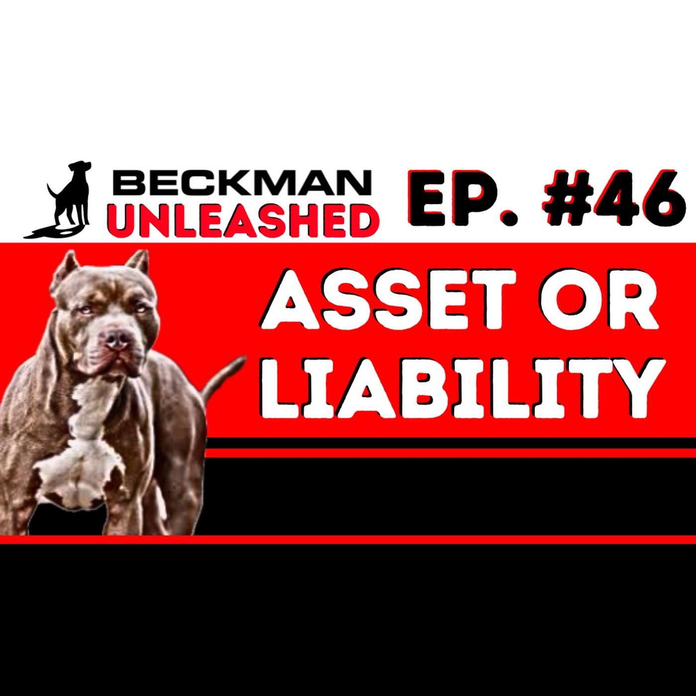 Ep. 46 - Are Pitbulls the Best Guarding Breed? Beckman Unleashed #46