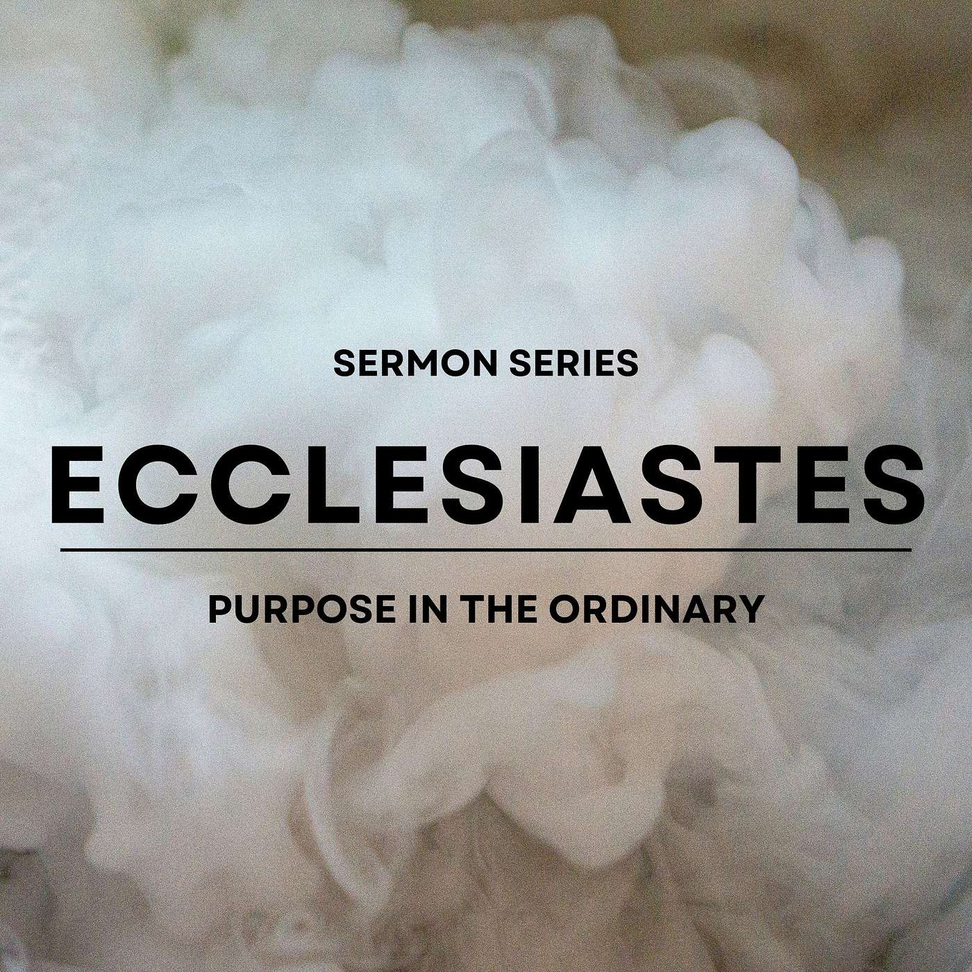 Renewal Fellowship Sermons