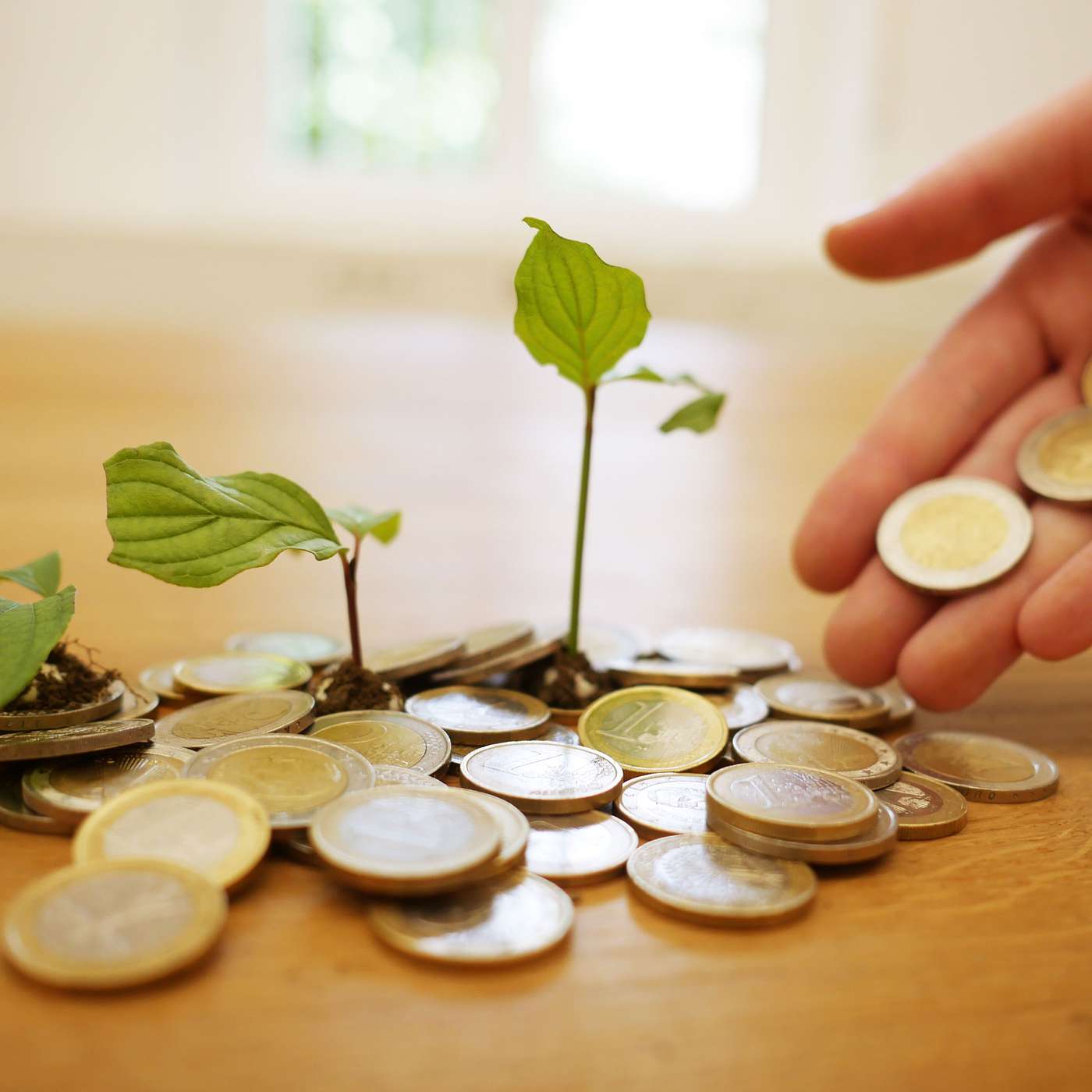 Freelancing and Finances