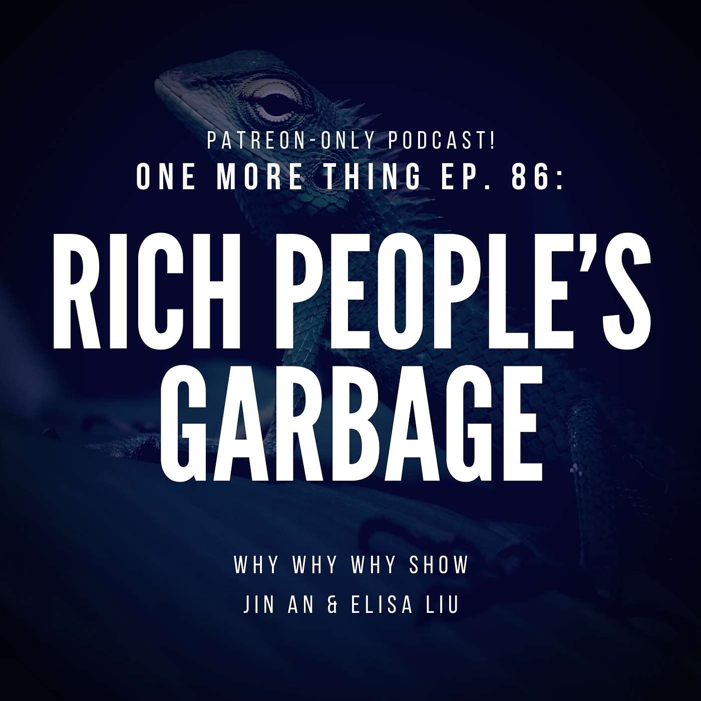 'One More Thing' Ep. 86: 'Rich People's Garbage'. (Our Patreon-Only Podcast)