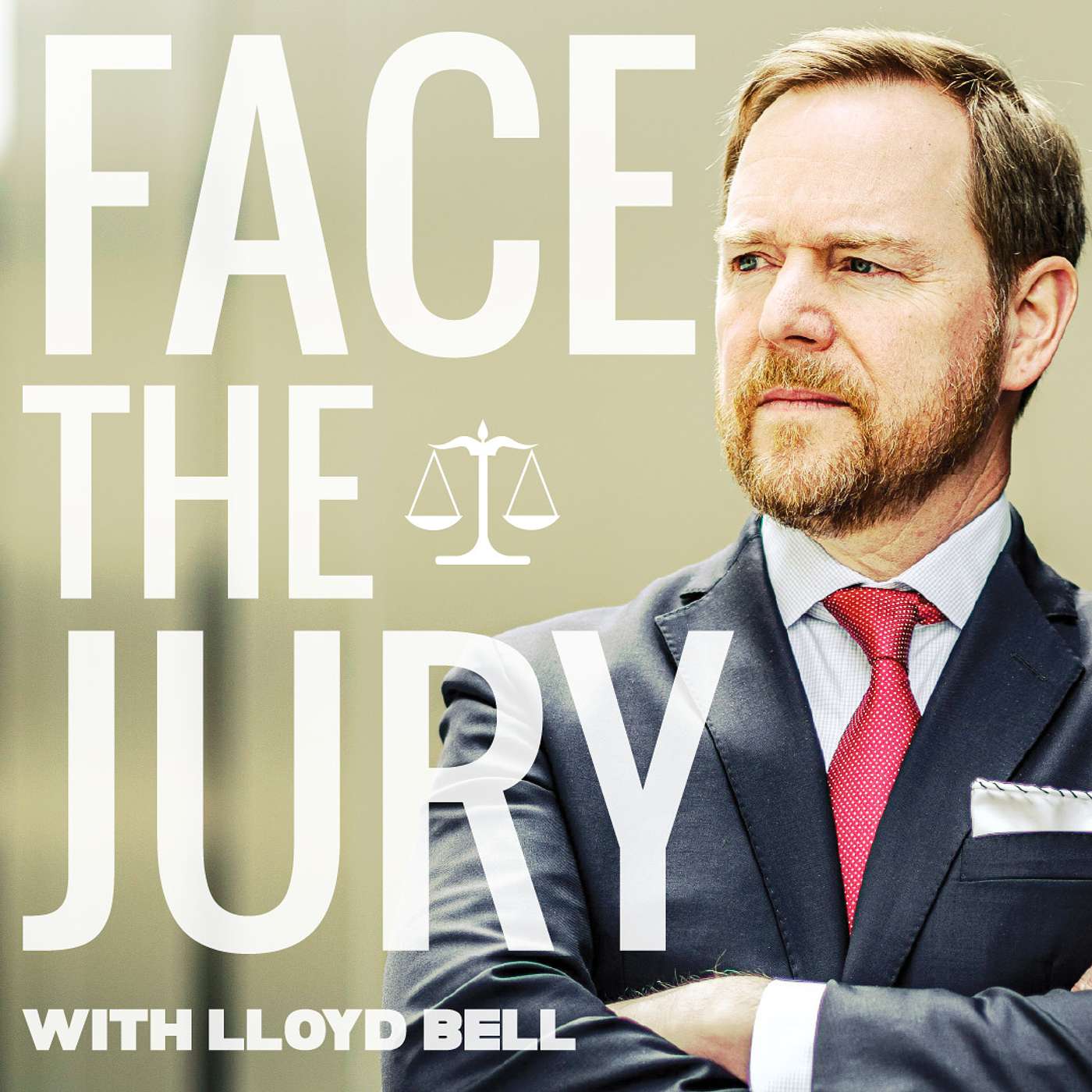 Face the Jury Artwork