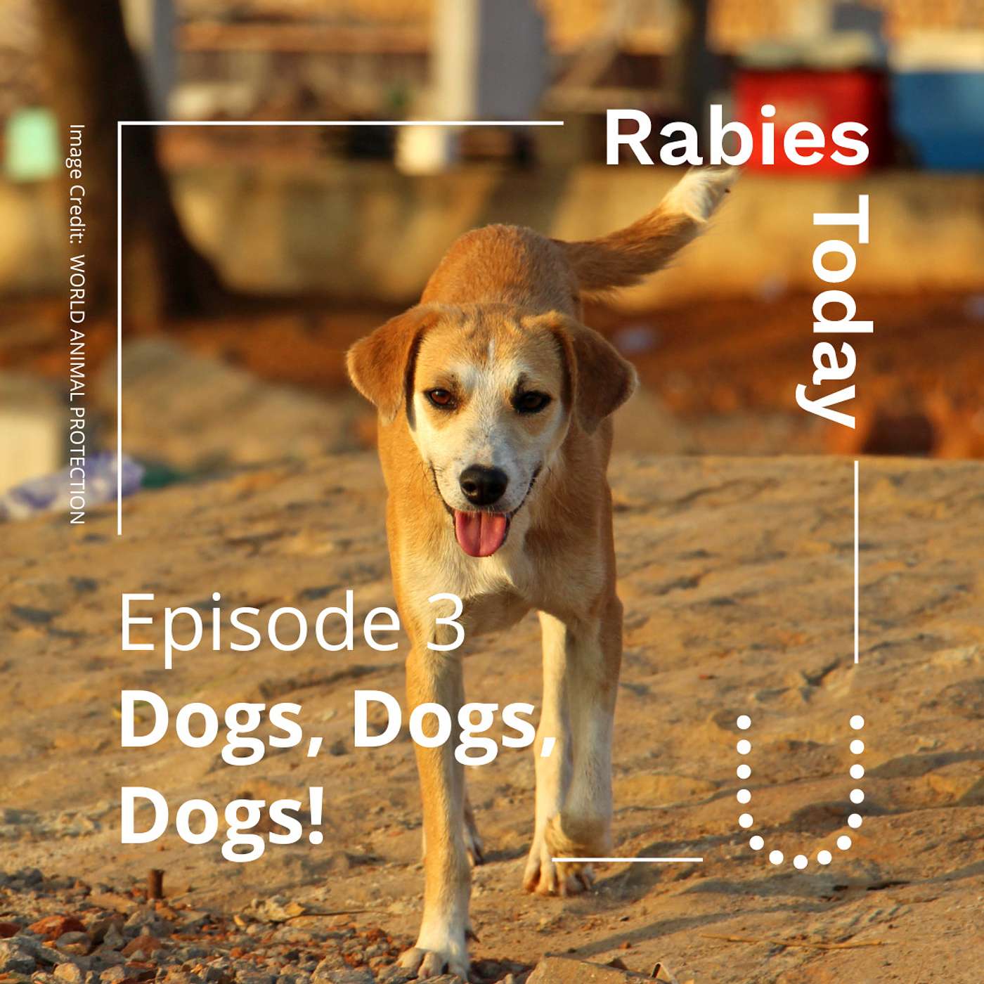 Rabies Today