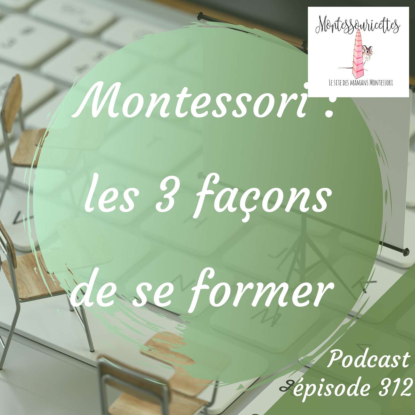 312. Montessori : les 3 façons de se former (Redif)