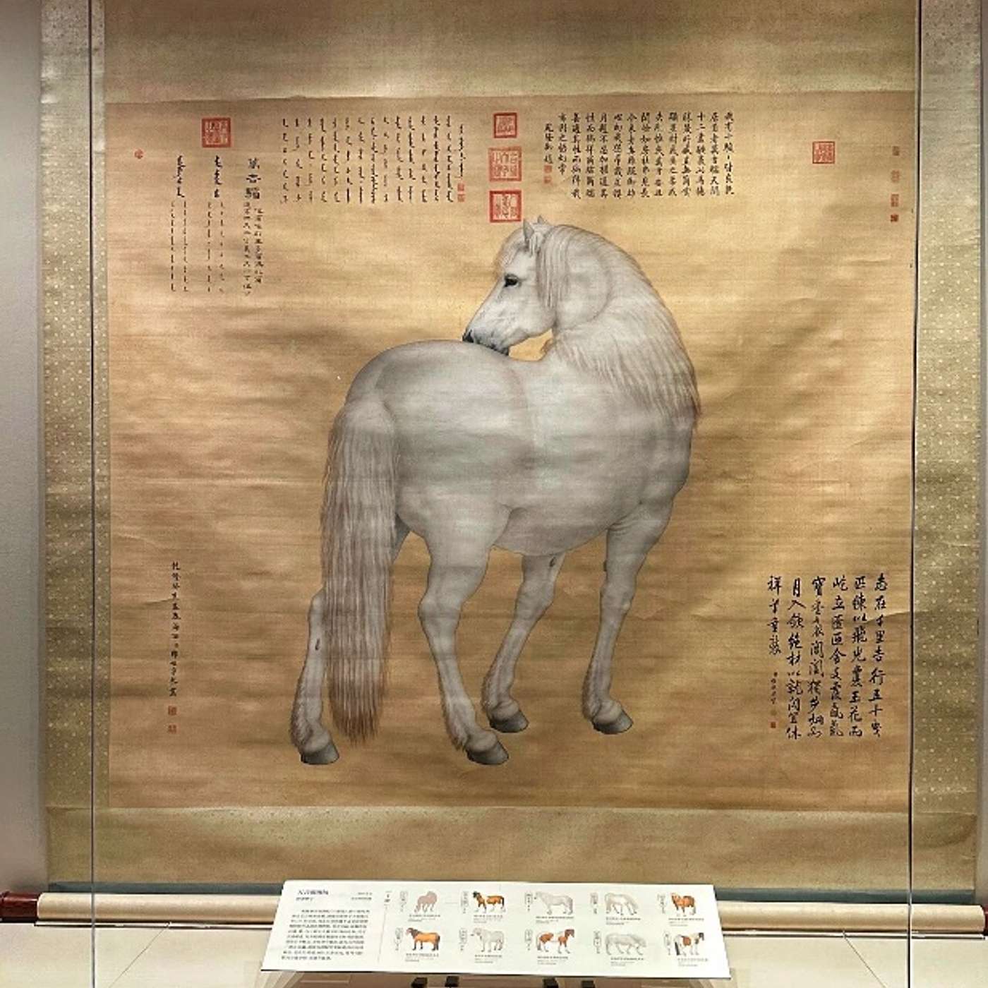 One Hundred Horses: An Italian Master in Imperial China episode artwork