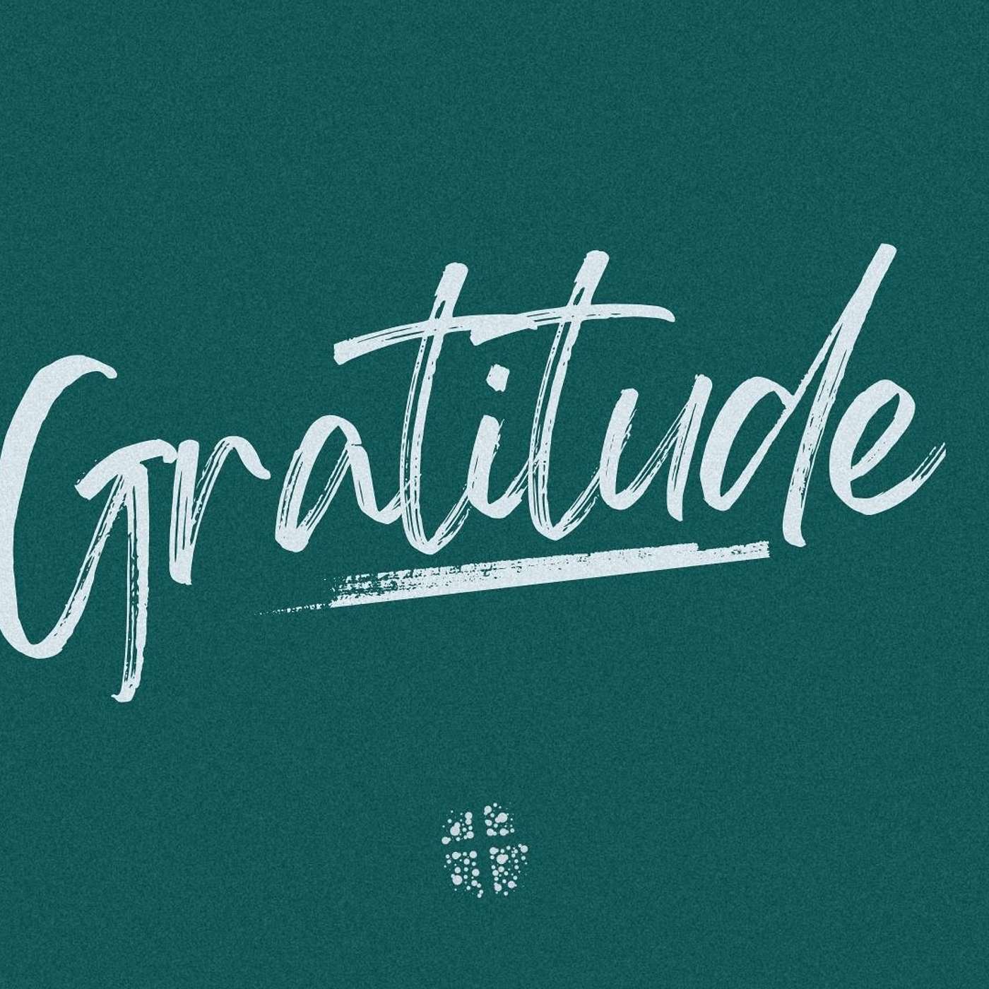 Gratitude: A CCW Sermon, 31st Dec 2023 episode artwork