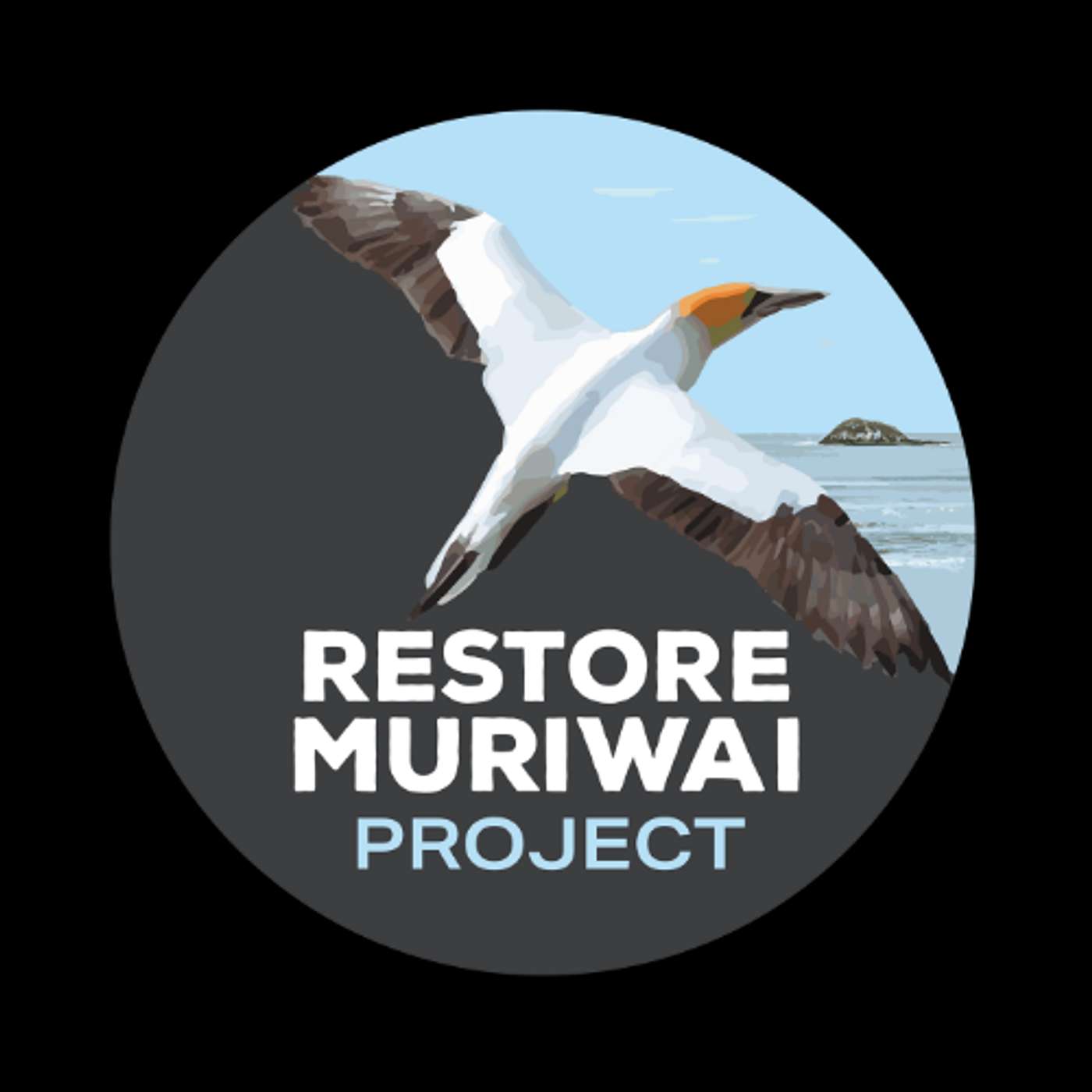 Creating a Brand, Restore Muriwai: Disaster Recovery and Community Restoration. Ep.12 Precipice Podcast.