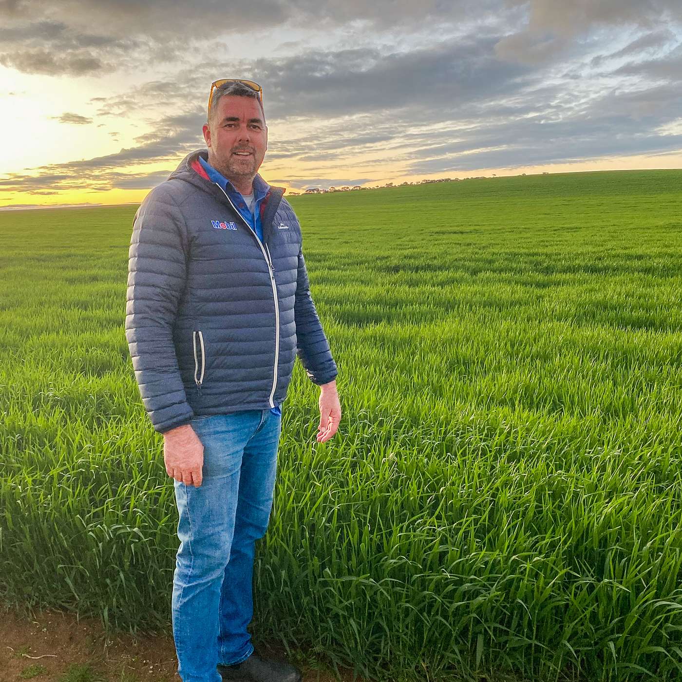 Regional Update - Adam Morgan, Farmer, Geranium SA