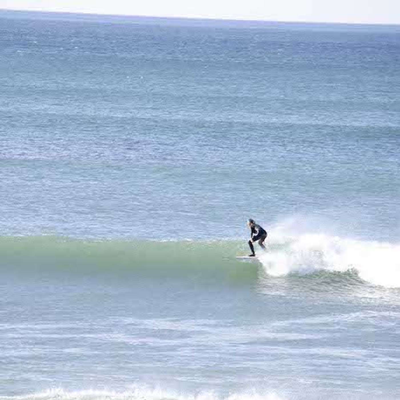 Wilding Fifty: Surf Tales