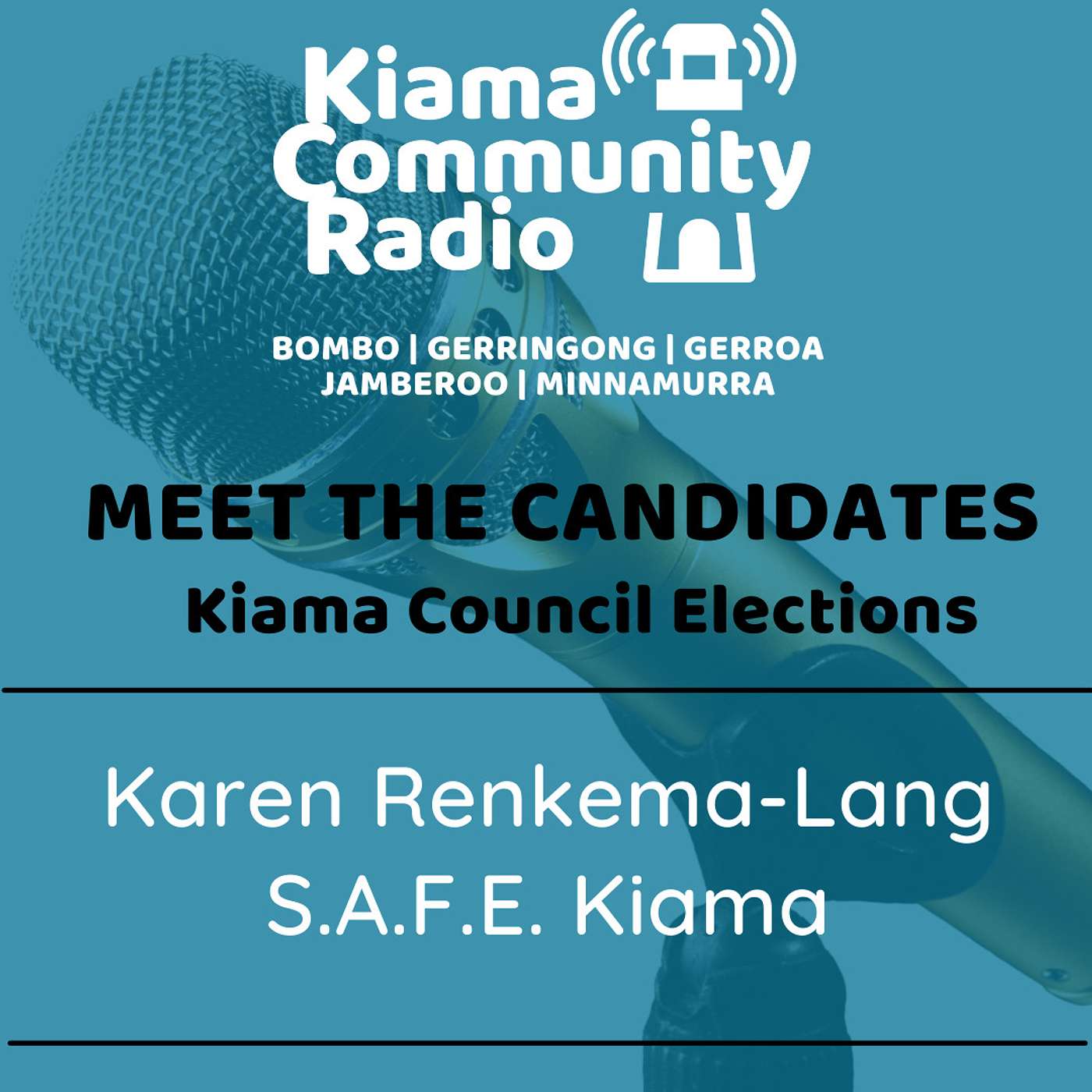 Election Special: Karen Renkema Lang episode artwork
