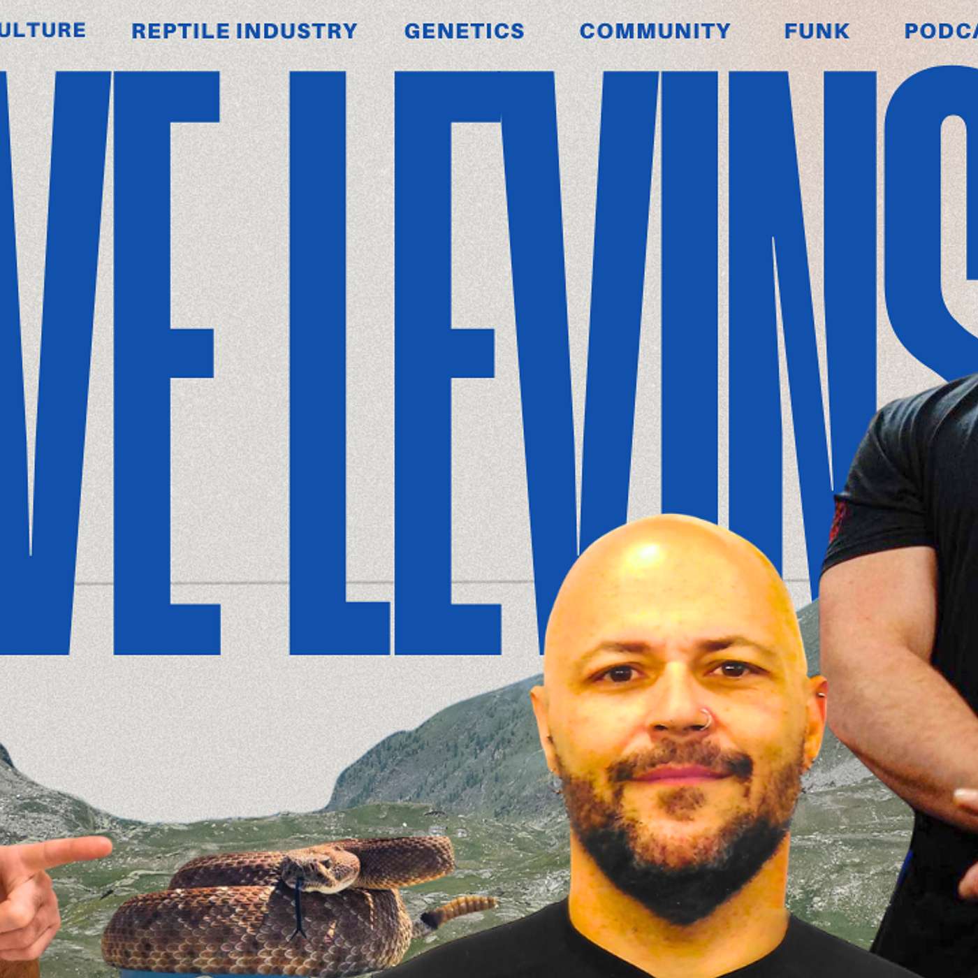 HEAVY ON THE PYTHON TALK WITH NICK MUTTON | DAVE LEVINSON REPTILE PODCAST LIVE