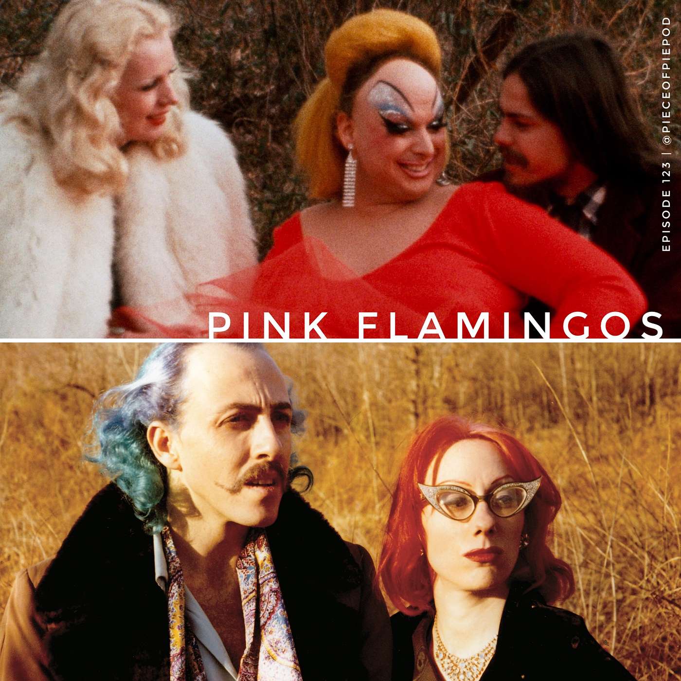 Pink Flamingos