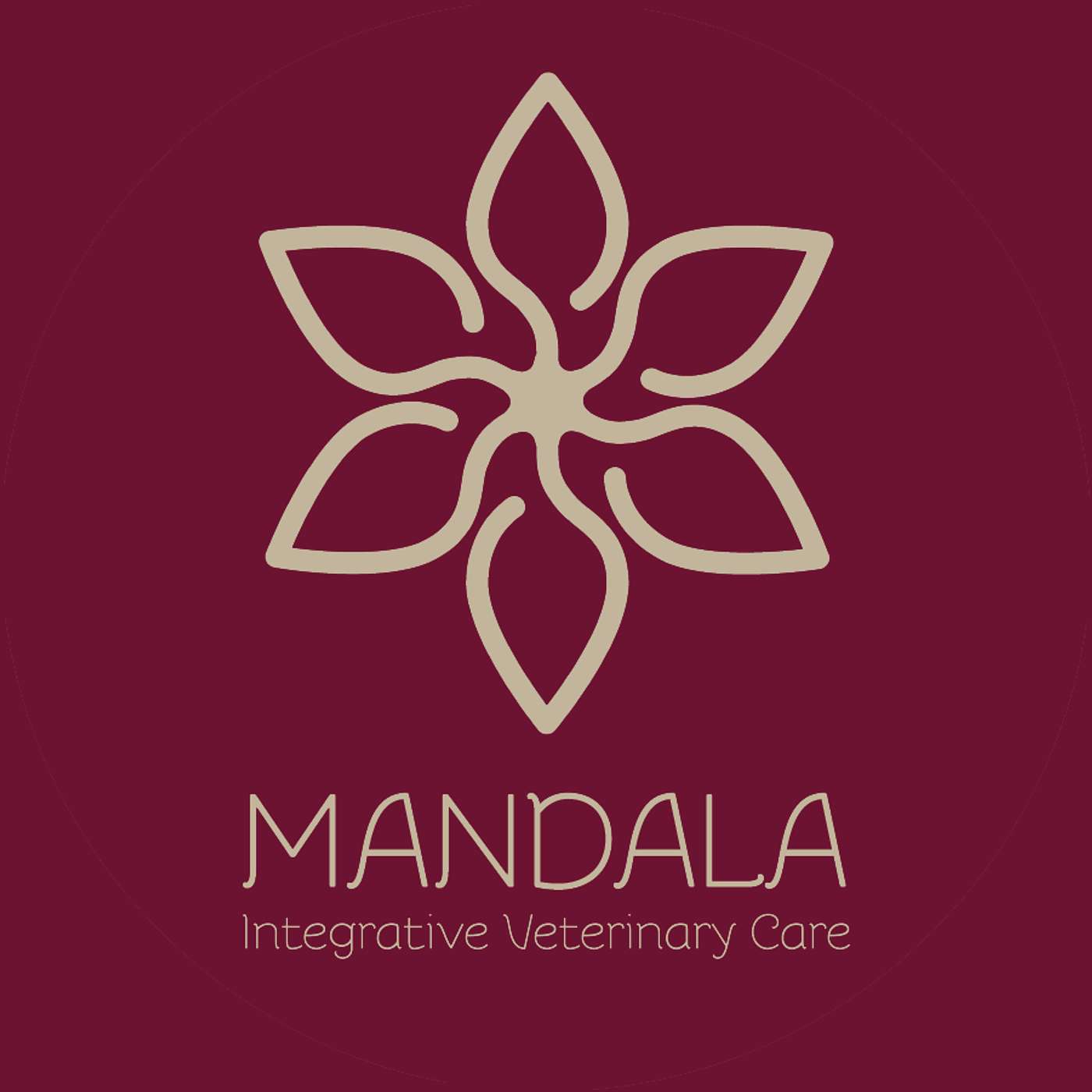 Wild Mandala cover art
