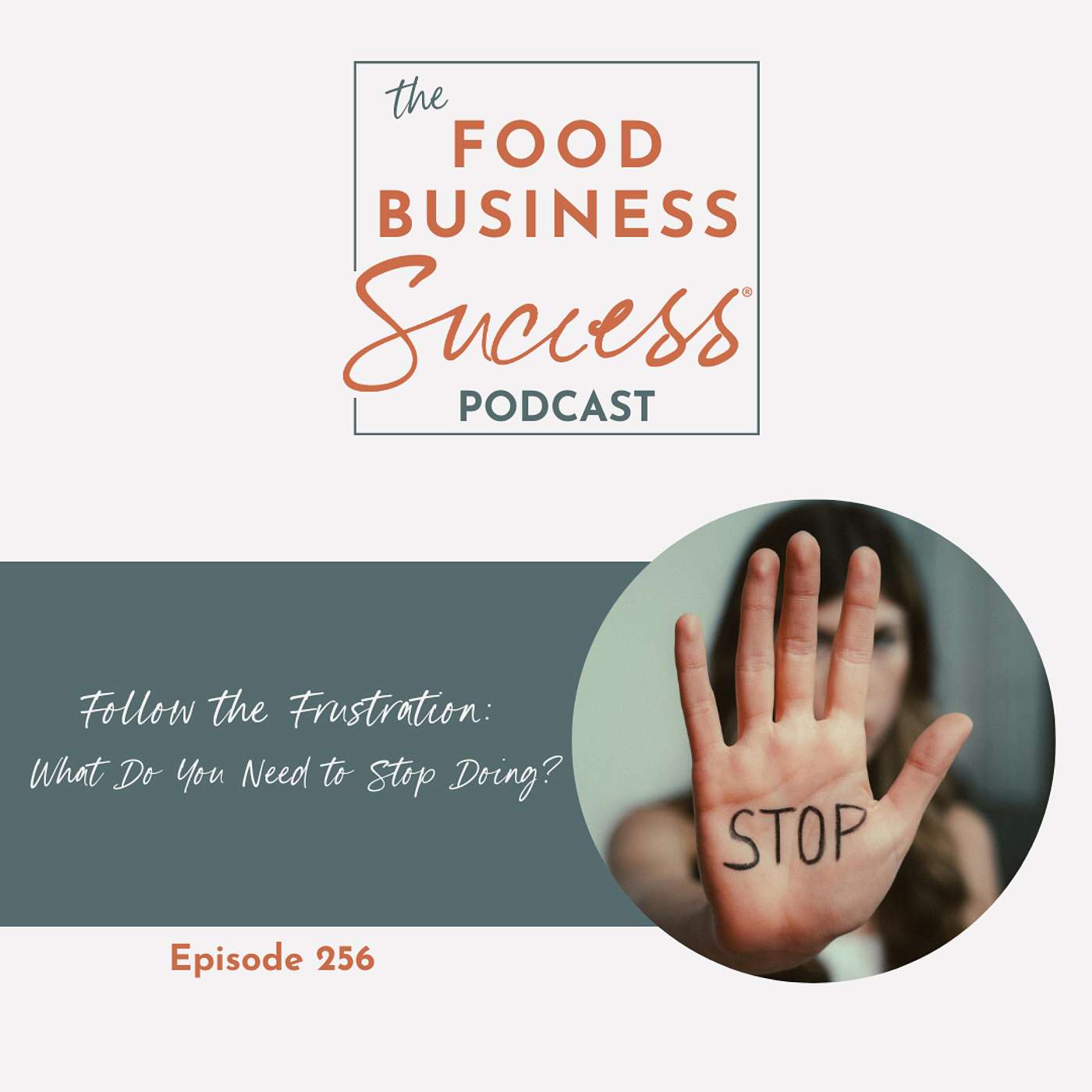 Ep #256 Follow the Frustration: What Do You Need to Stop Doing?