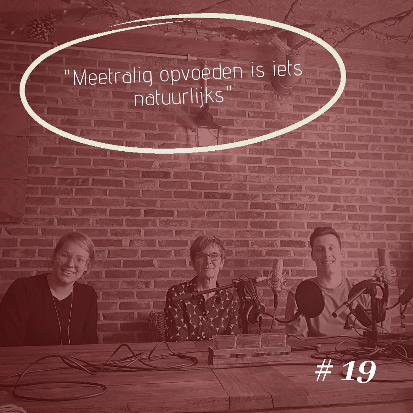 #19 - met Hilde De Smedt over meertaligheid