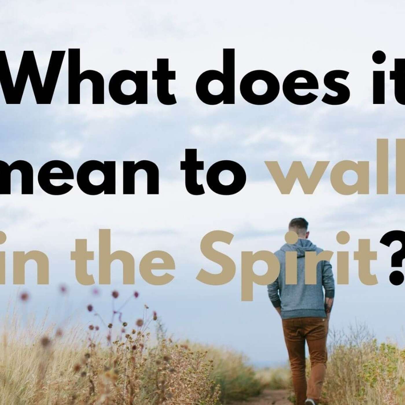 Did you know you are equipped to walk in the Spirit...